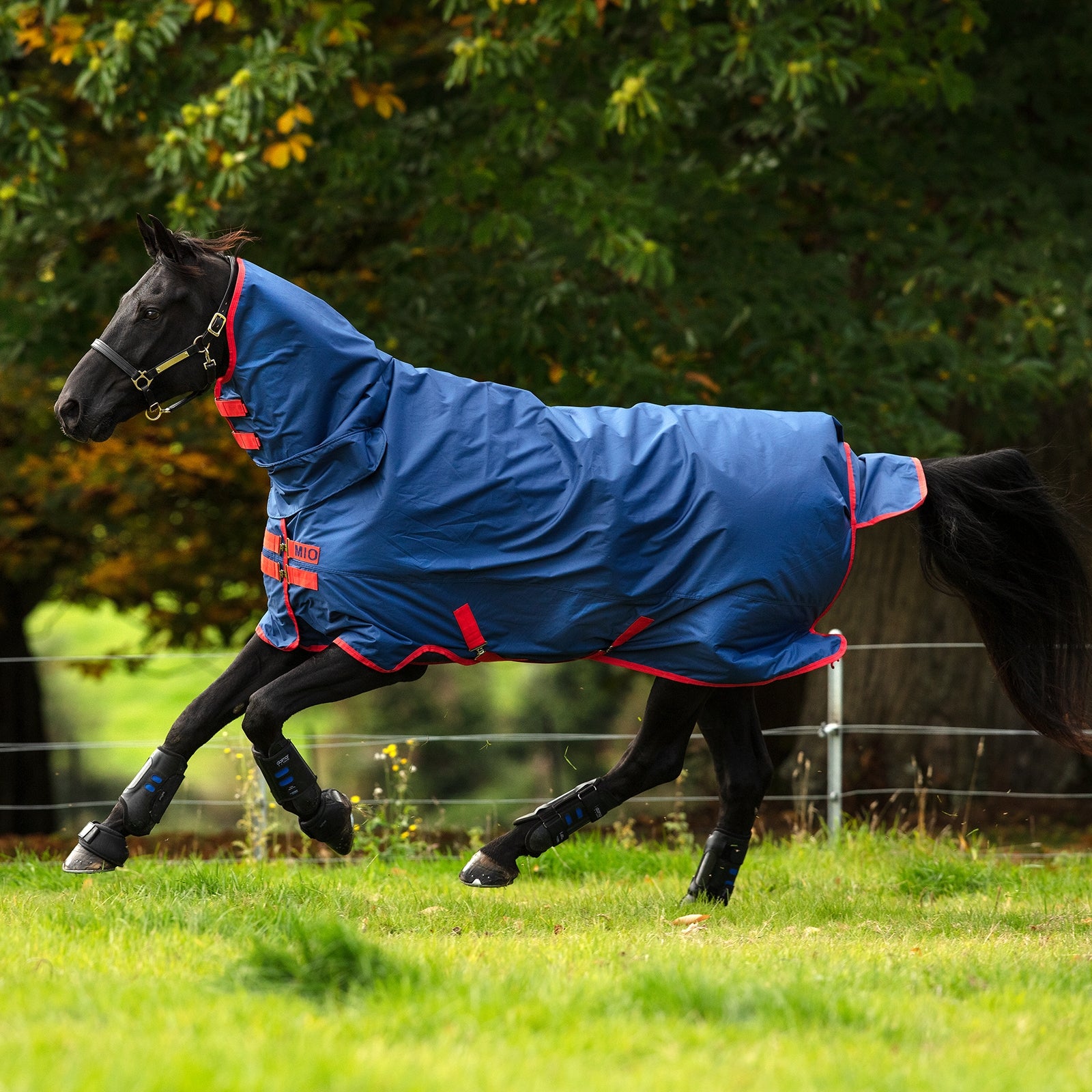 Horseware Couverture MioT/OLite-AllinOne-Self Bound, 0 g. Couvertures cheval