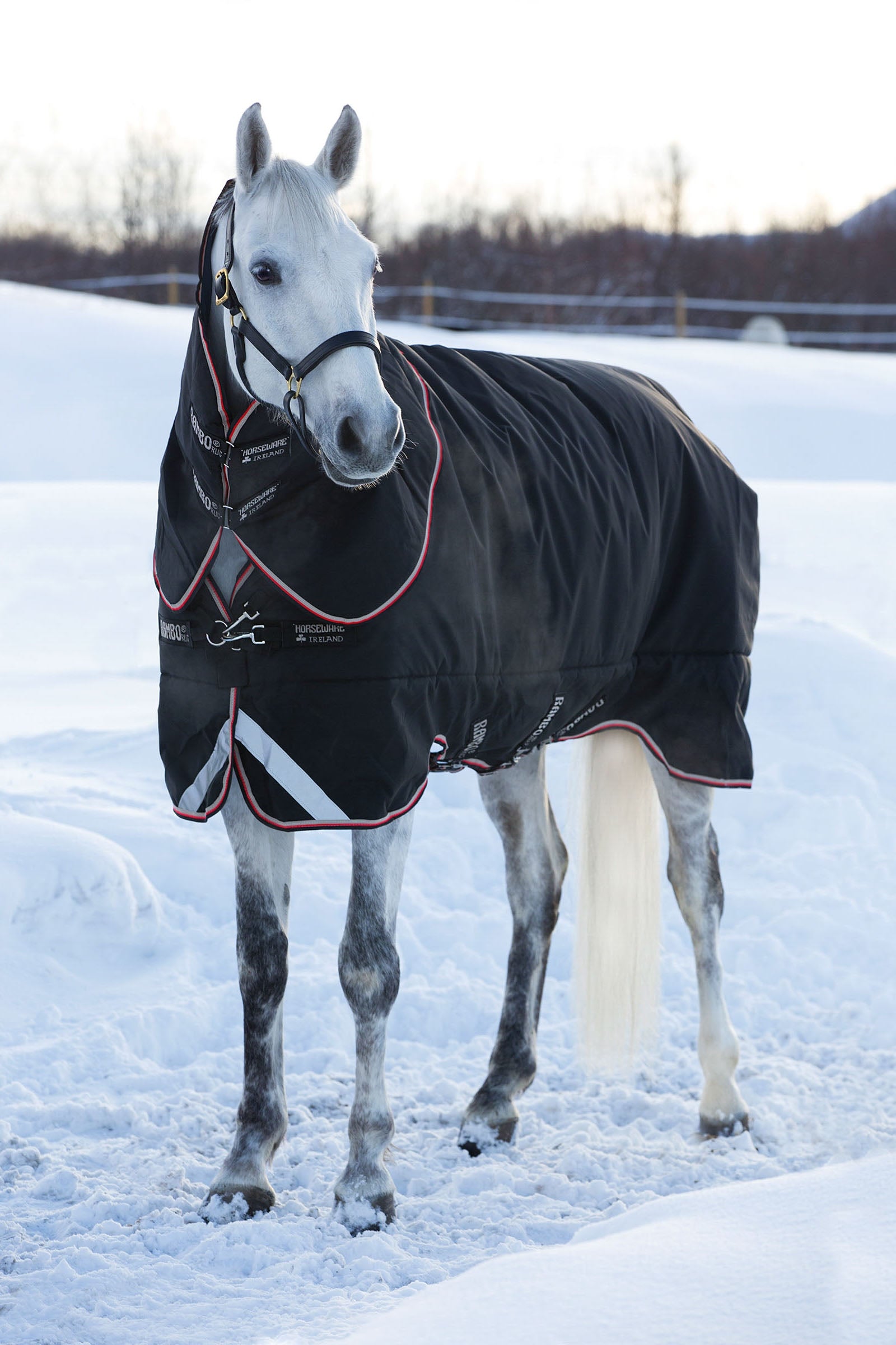 Horseware Couverture d'extérieur Rambo Supreme 420g Couvertures cheval