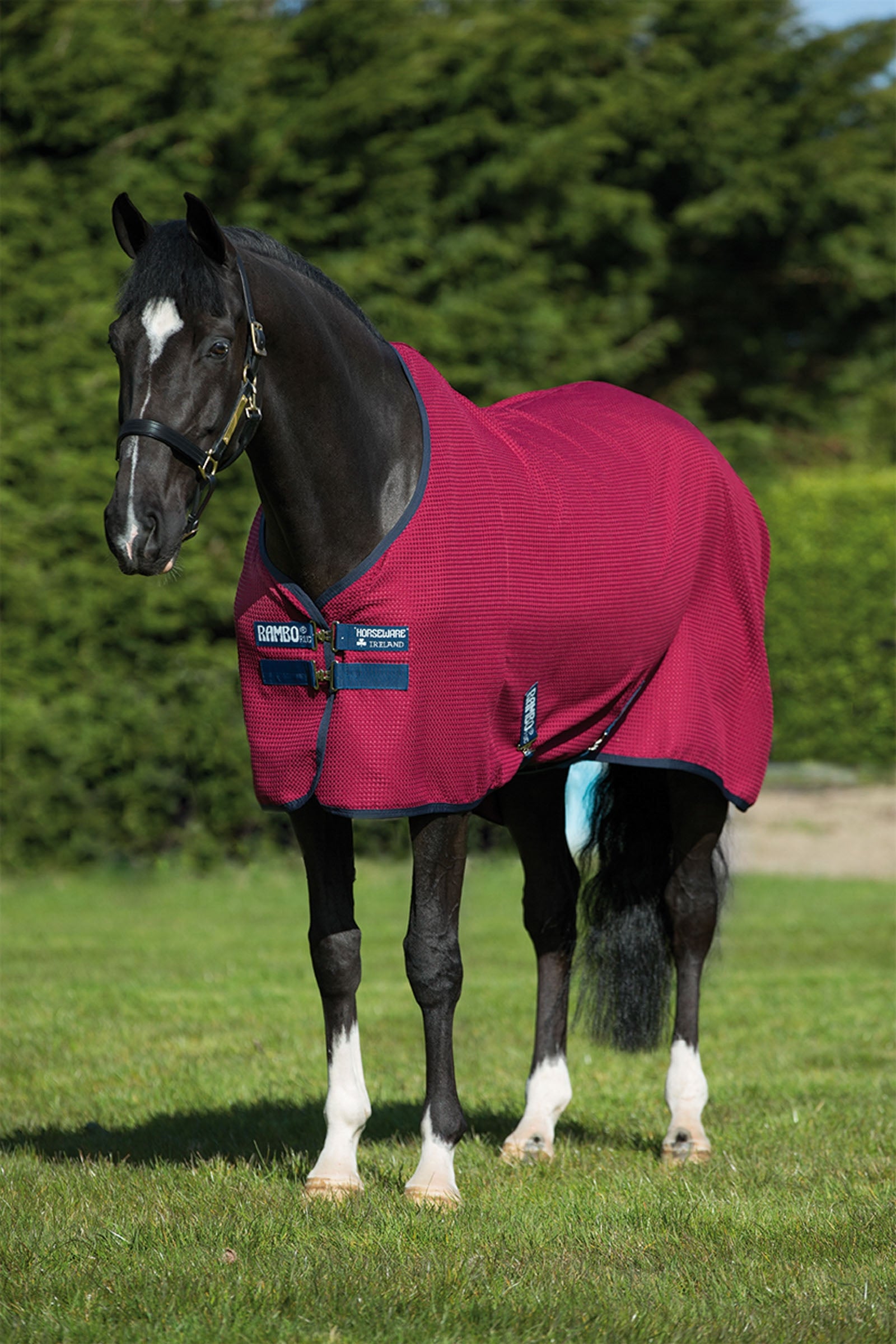 Horseware Chemise séchante Rambo Techni Waffle Couvertures cheval