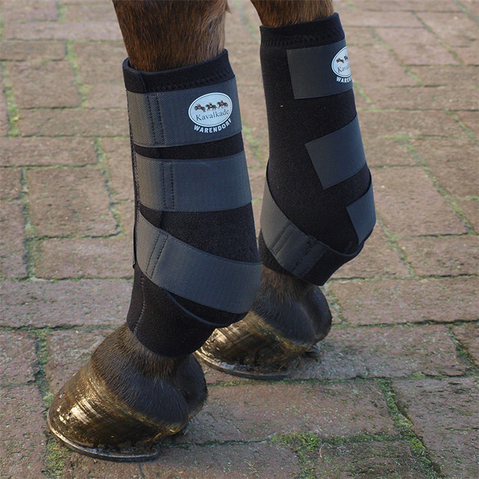 Kavalkade Guêtres Néoprène Leg Protection & Hoof Protection for Horses