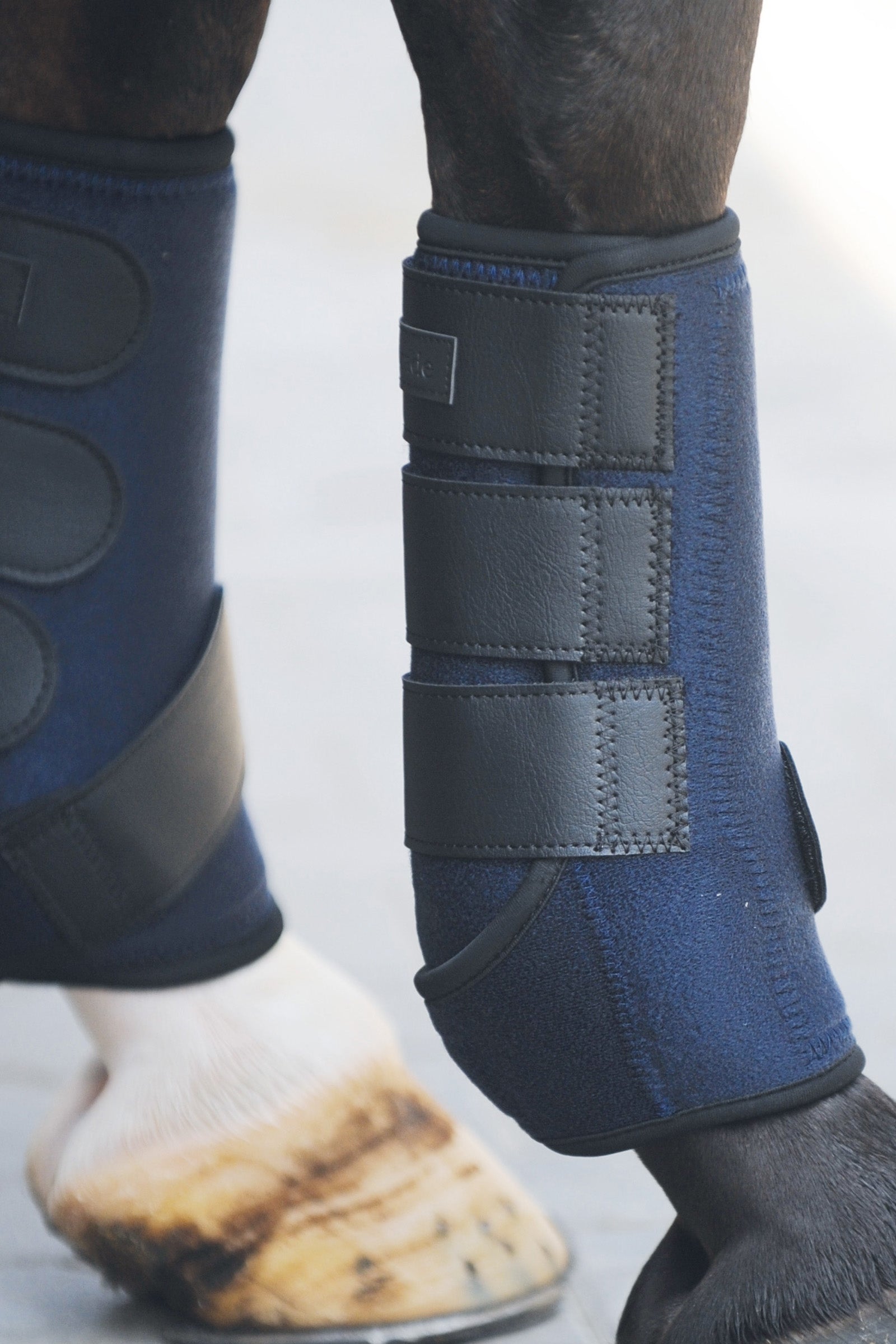 Kavalkade Guêtres Néoprène Leg Protection & Hoof Protection for Horses