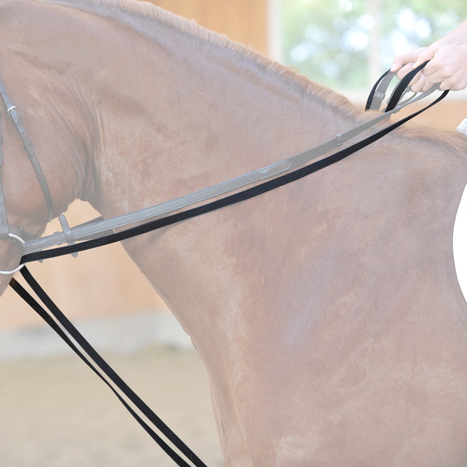 Kavalkade Webbed draw reins with leather loop Bridles & Reins