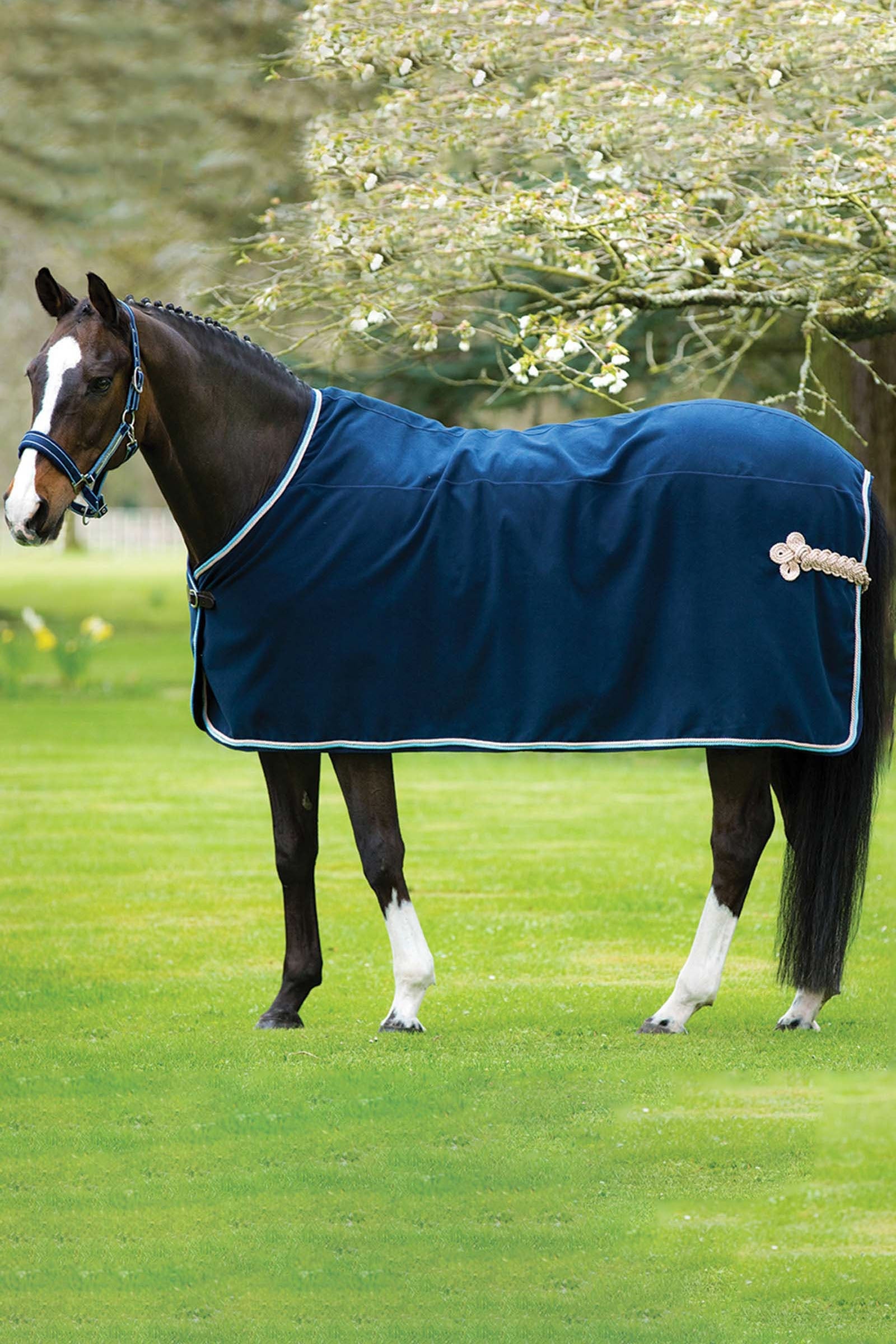 Horseware Chemise de concours ou de présentation Rambo Show Couvertures cheval