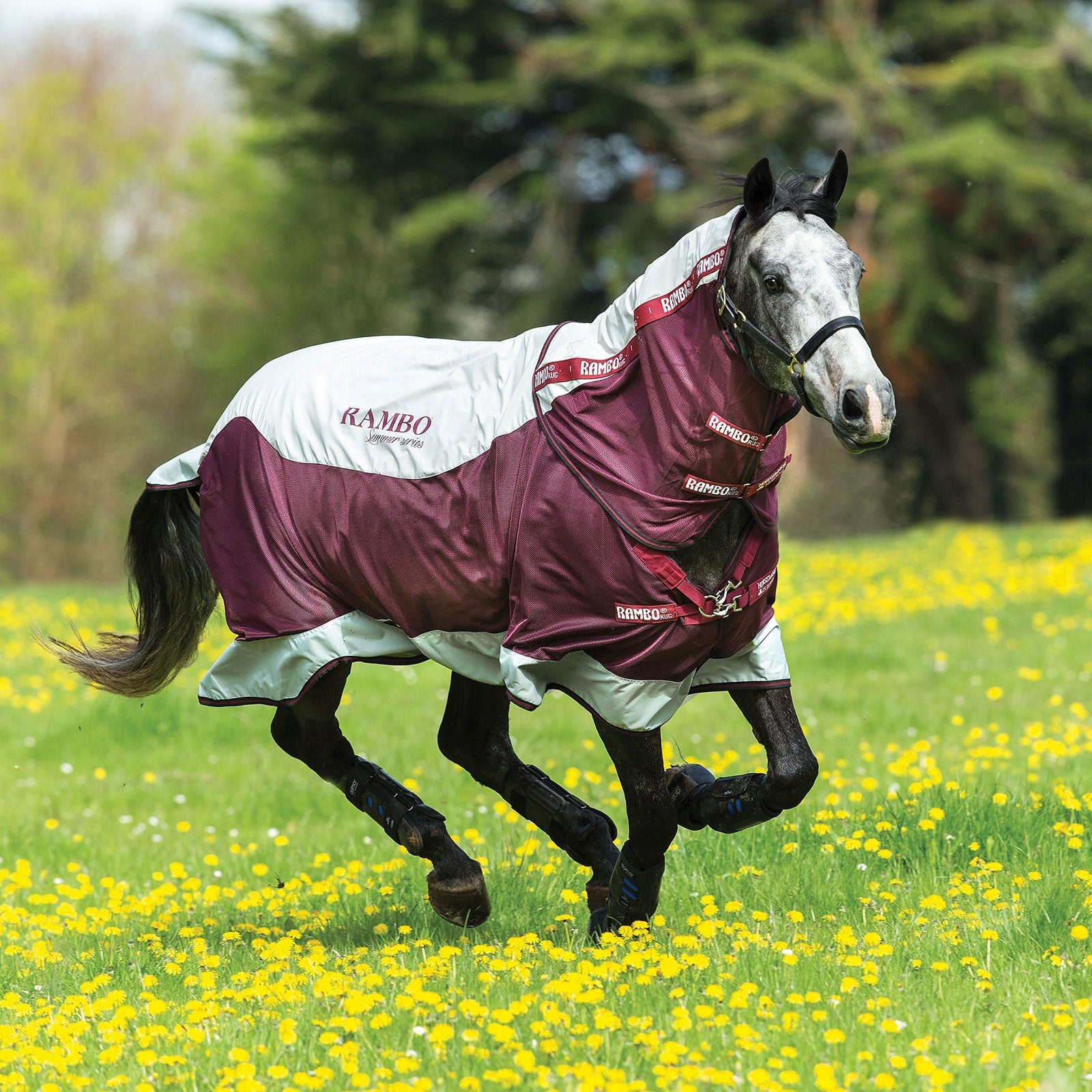 Horseware Rambo Summer Series couverture d'extérieur avec doublure (0g / 100g) et partie de cou amovible Couvertures cheval