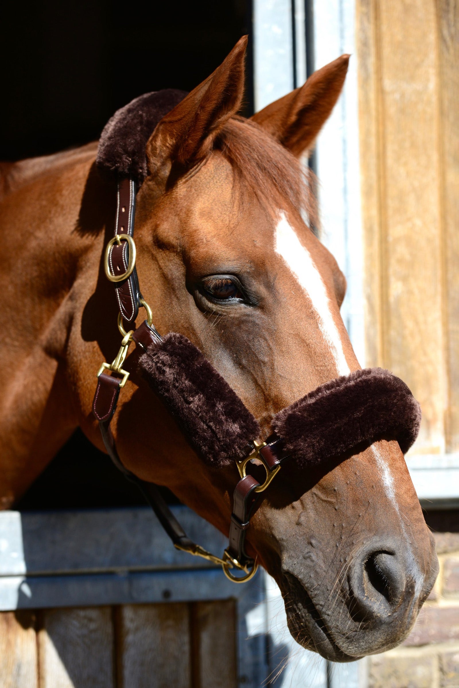 Kentucky Horsewear Sheepskin Halter Set 4 pcs Halters & Leads