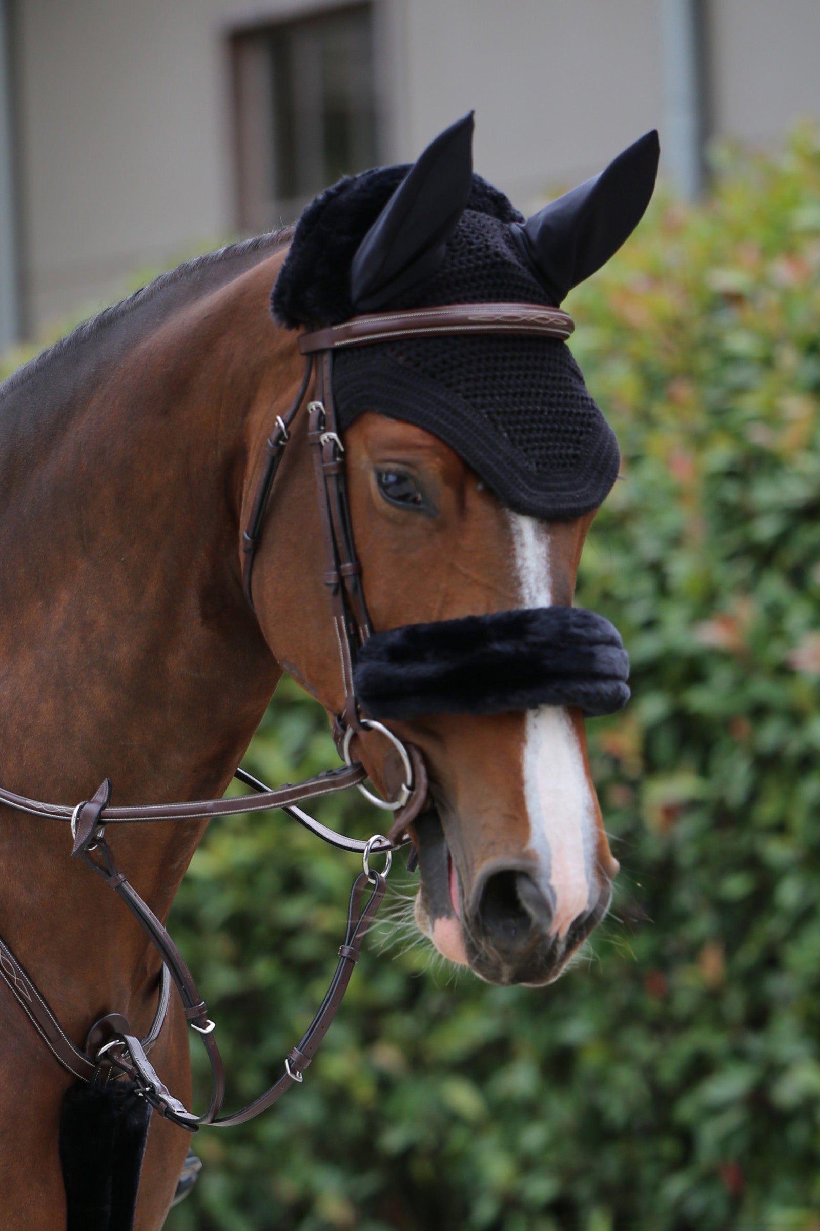 Kentucky Horsewear Fourreau de muserolle en mouton Kentucky Horsewear Briderie et enrênements