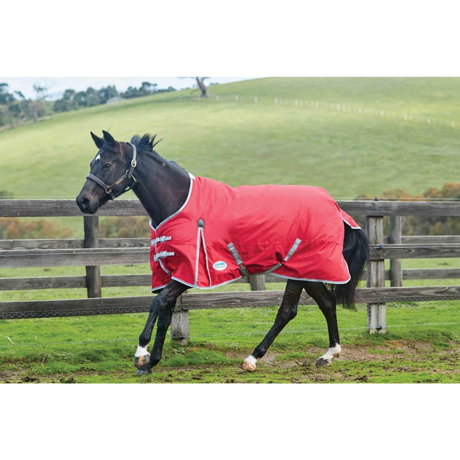 Weatherbeeta Couverture Comfitec Classic, tour d'encolure standard 220g Couvertures cheval