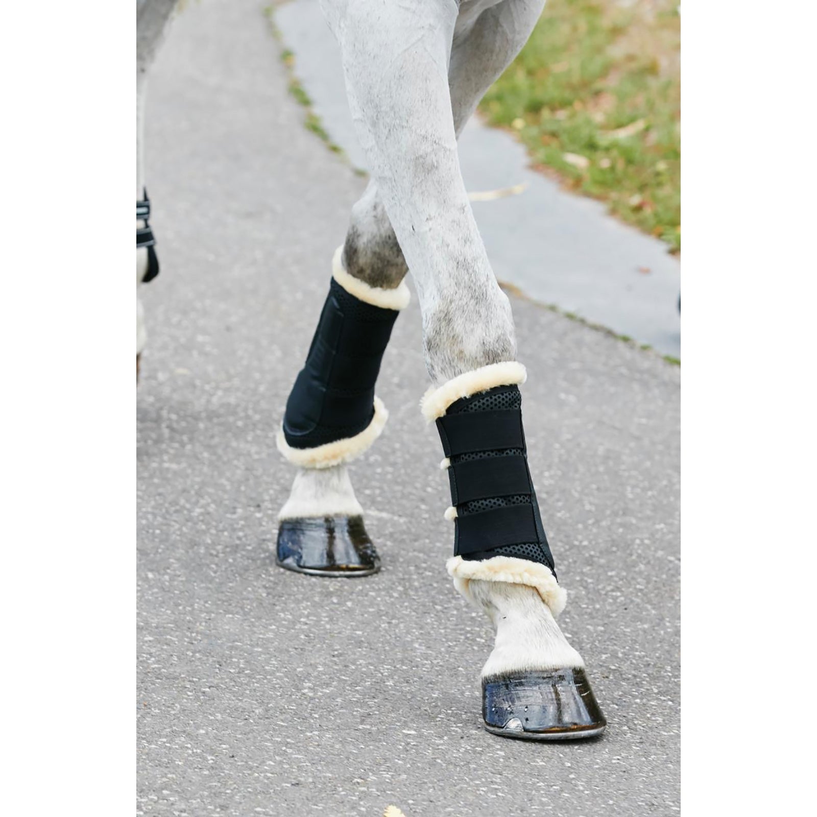 Weatherbeeta Guêtres de protection protège-tendons doublées de pure laine Leg Protection & Hoof Protection for Horses