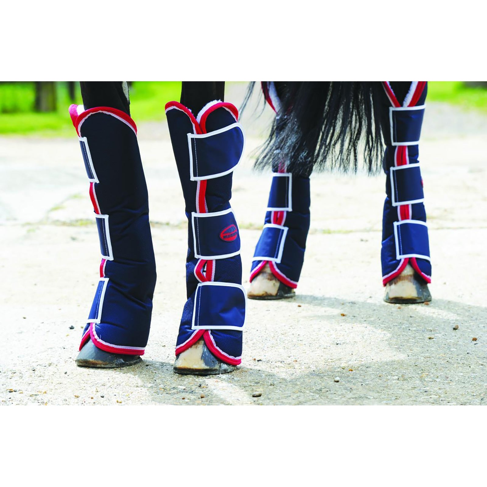Weatherbeeta Guêtres de transport à attaches larges Leg Protection & Hoof Protection for Horses
