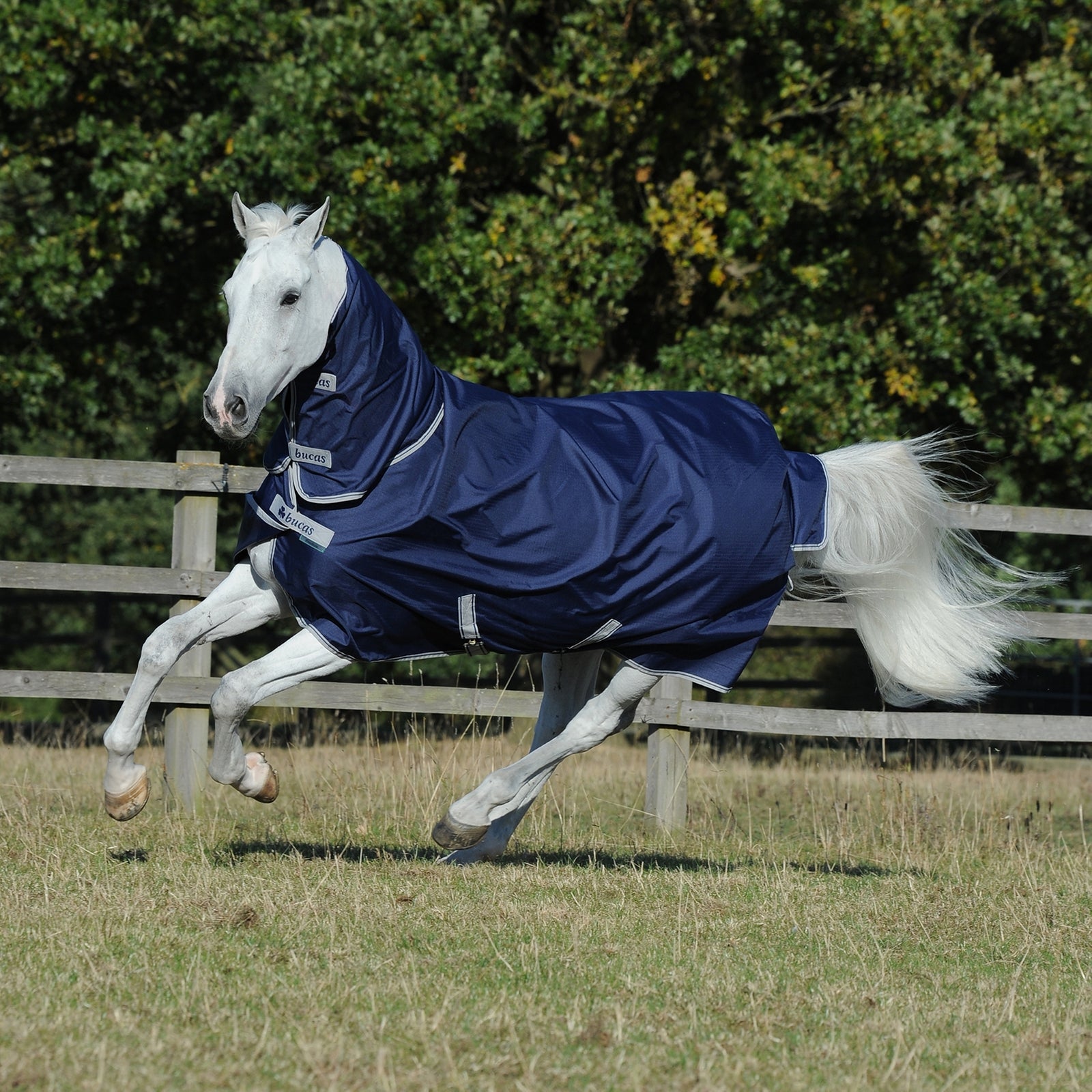 Bucas Freedom Couverture d'extérieur pour poney avec cou complet fixe (150g / 150g) Couvertures cheval