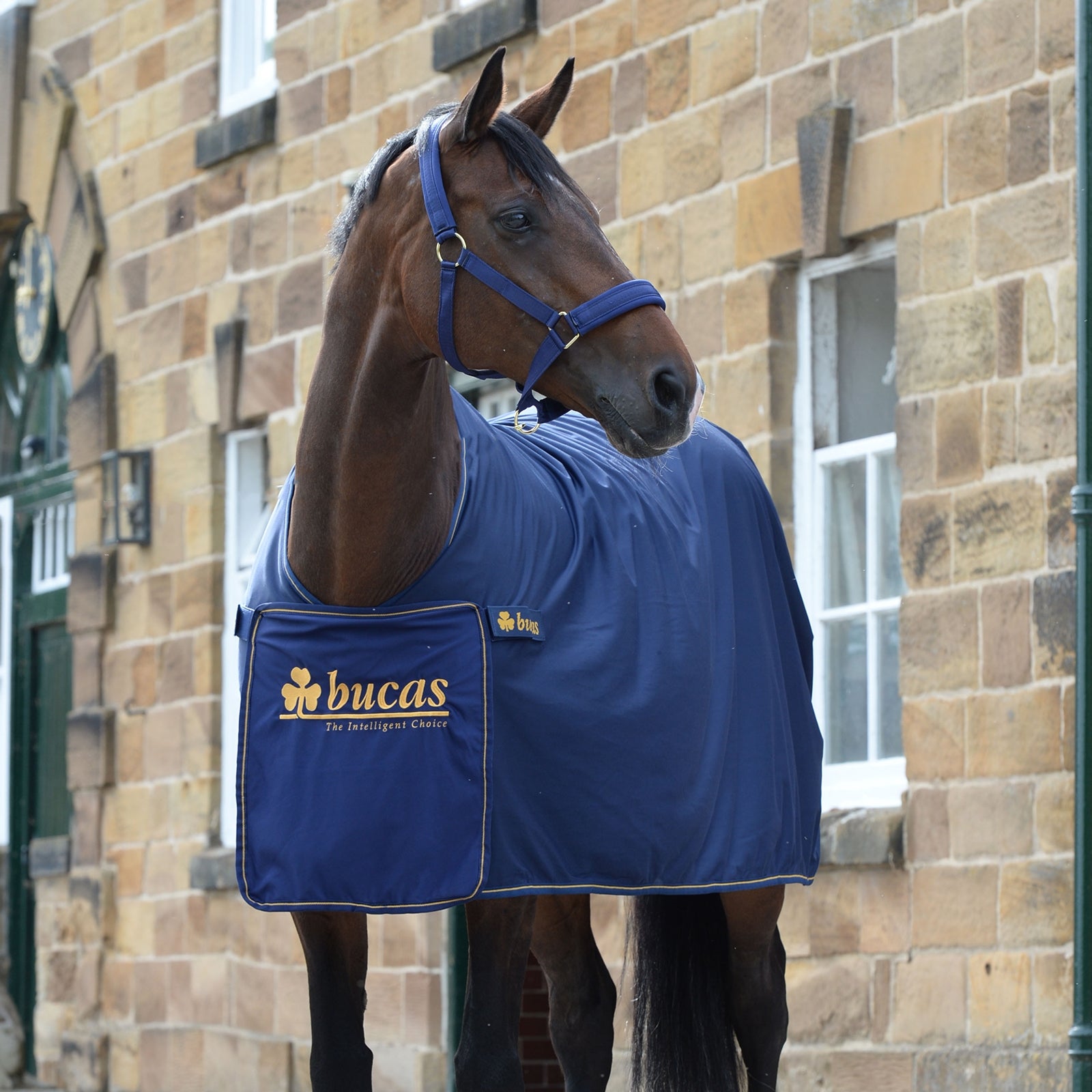 Bucas Chemise Panel Prize Bucas Couvertures cheval