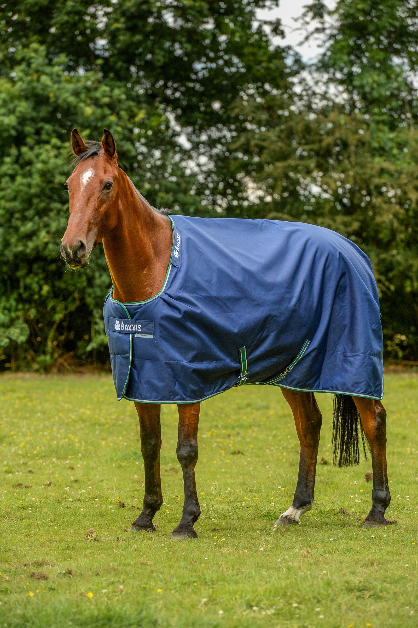 Bucas Couverture Smartex Extra 300 g Couvertures cheval