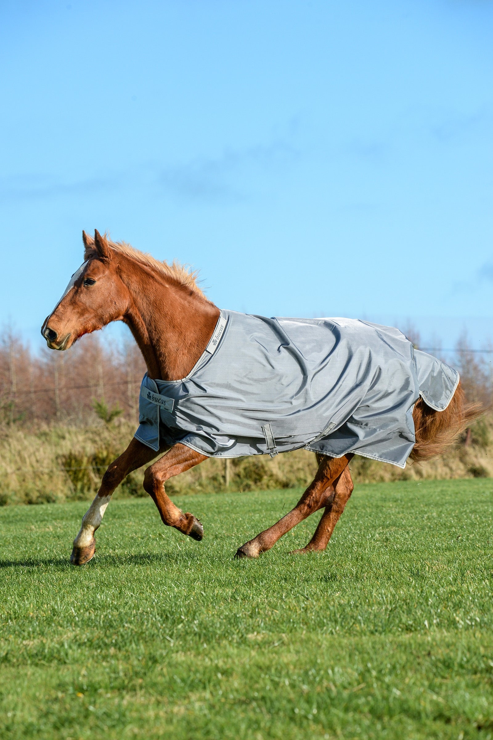 Bucas Couverture Smartex Extra 300 g Couvertures cheval