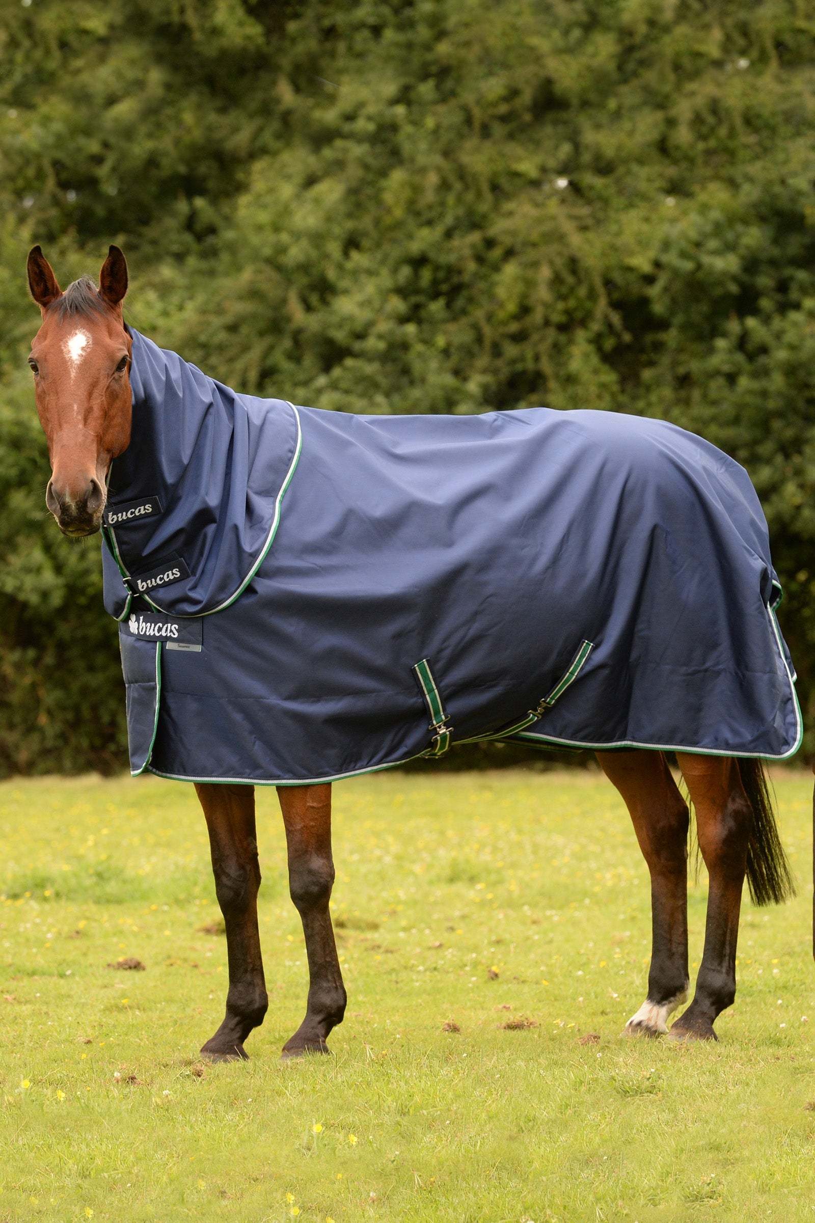 Bucas Smartex Rain Pony Turnout Rug with Cooling Function, 0g Horse Rugs