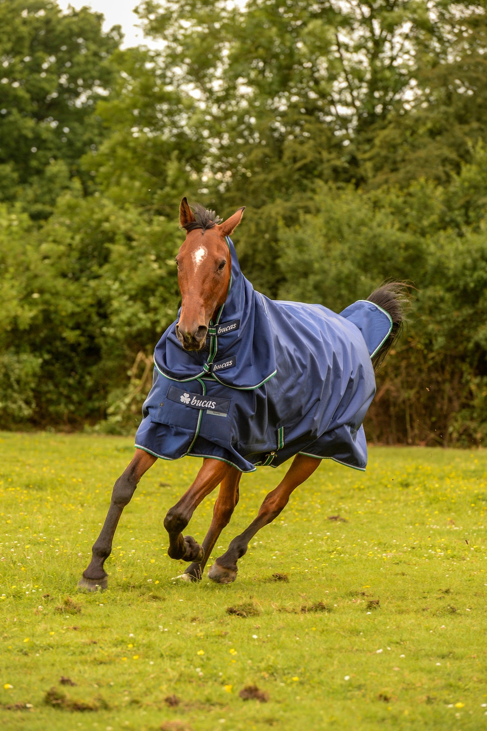 Bucas Smartex Rain Pony Turnout Rug with Cooling Function, 0g Horse Rugs