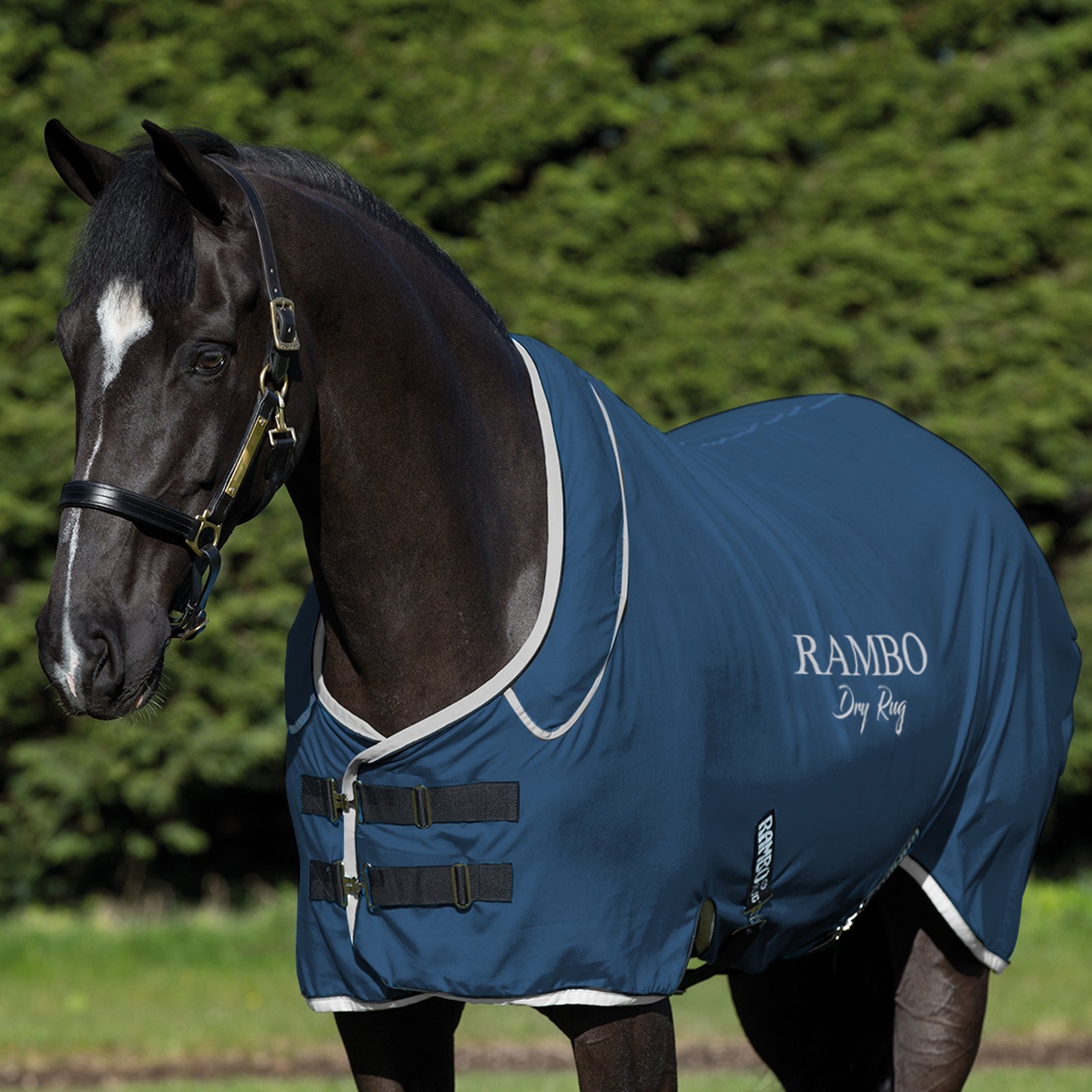 Horseware Chemise séchante Rambo Couvertures cheval