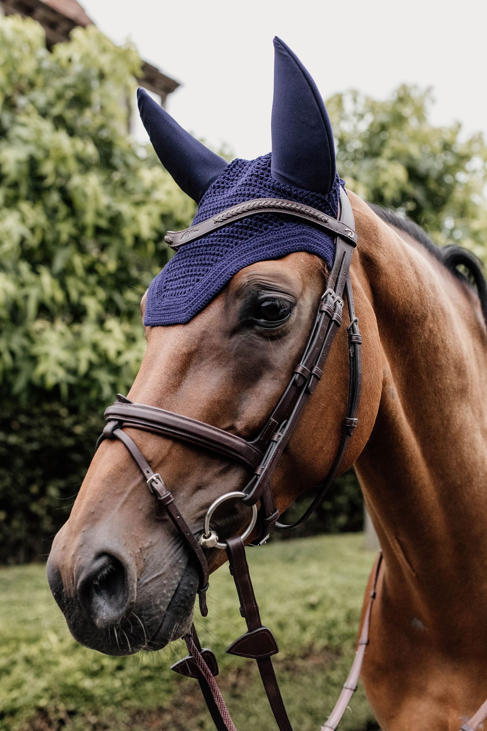 Kentucky Horsewear Bonnet Wellington Anti-Son Tapis de selle