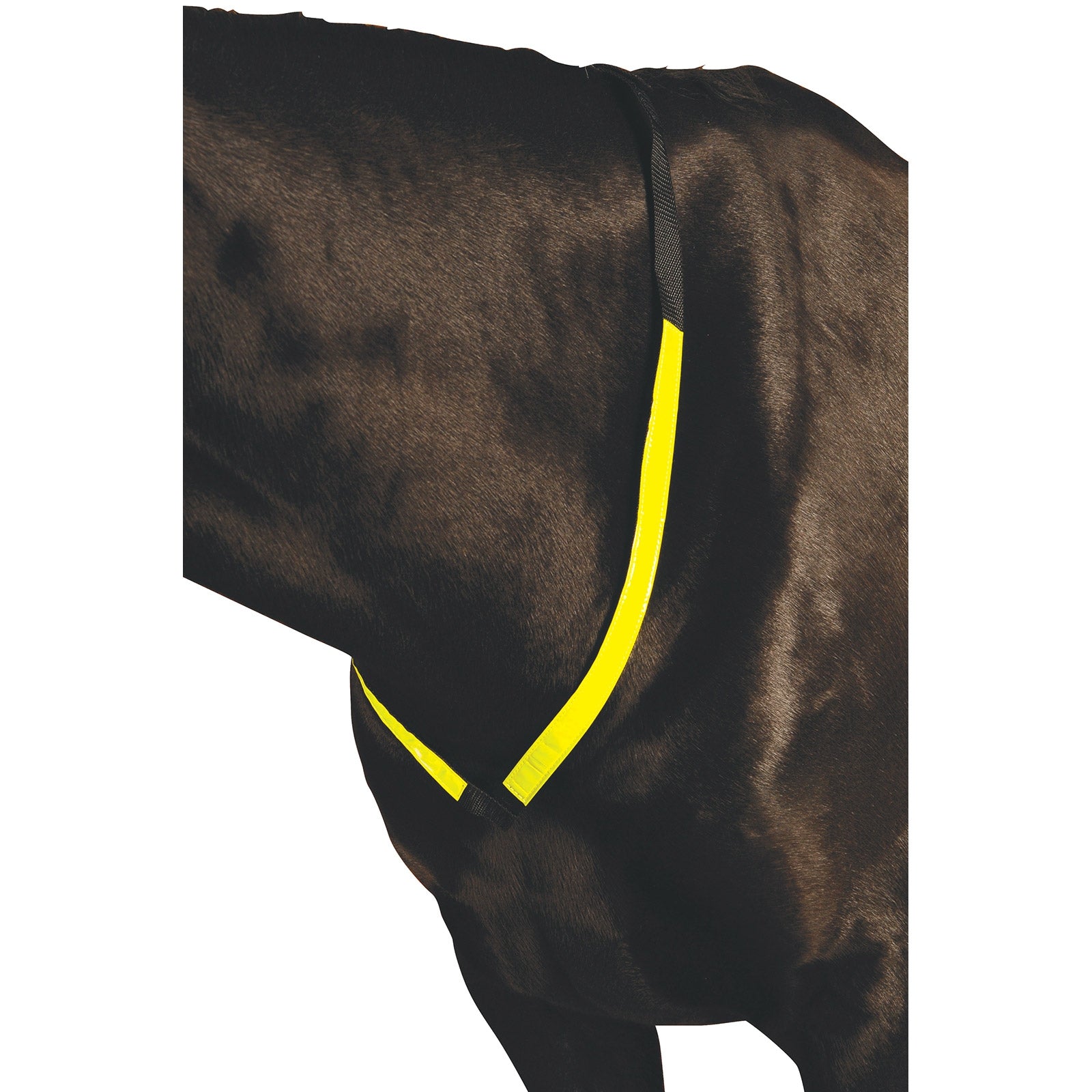 Roma Collier de chasse réfléchissant Roma Briderie et enrênements