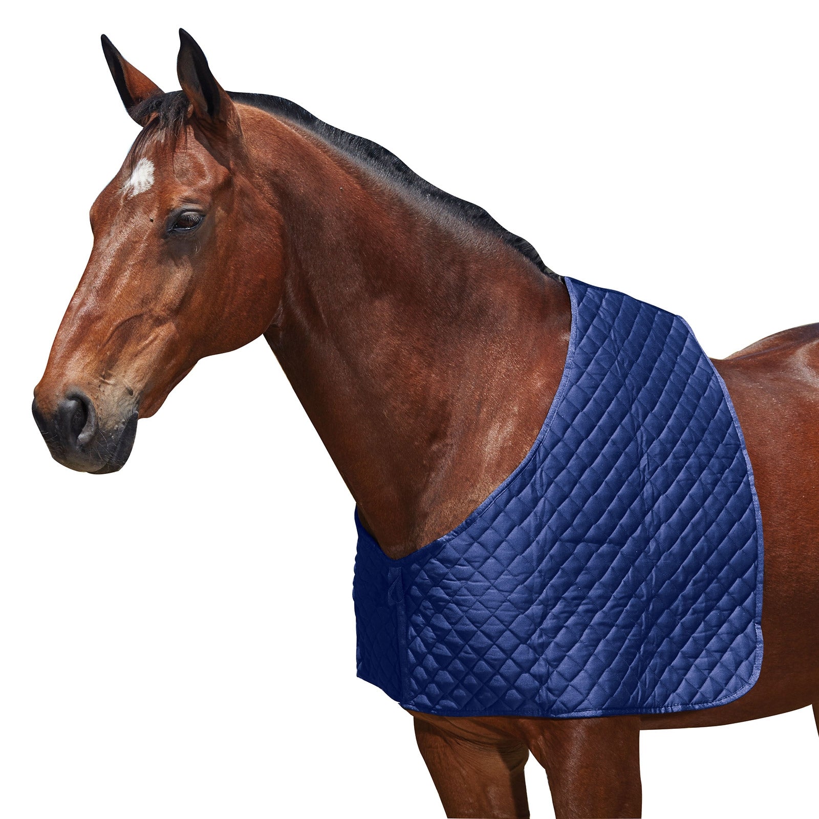 Weatherbeeta Protection d'épaules Deluxe Couvertures cheval