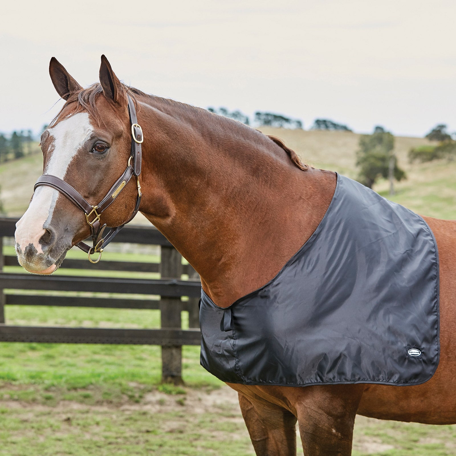 Weatherbeeta Protection d'épaules Satinée Weatherbeeta Couvertures cheval