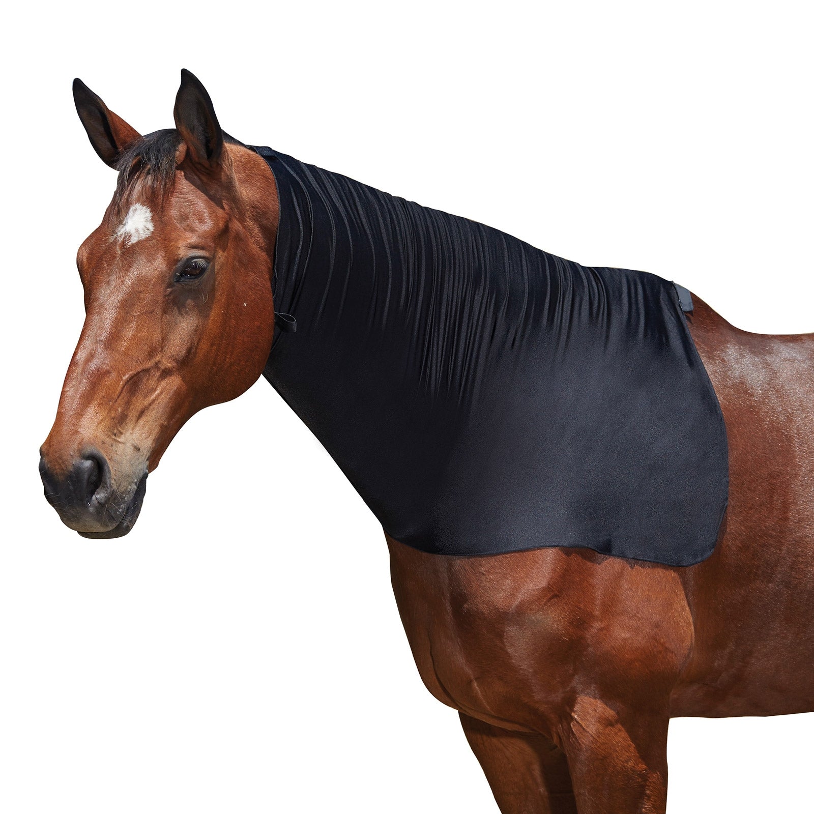 Weatherbeeta Stretch Neck Rug Horse Rugs