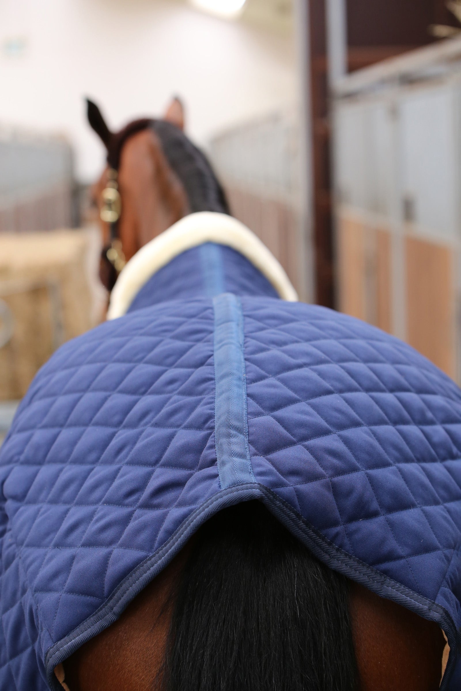 Kentucky Horsewear Stable Rug, 400g Horse Rugs