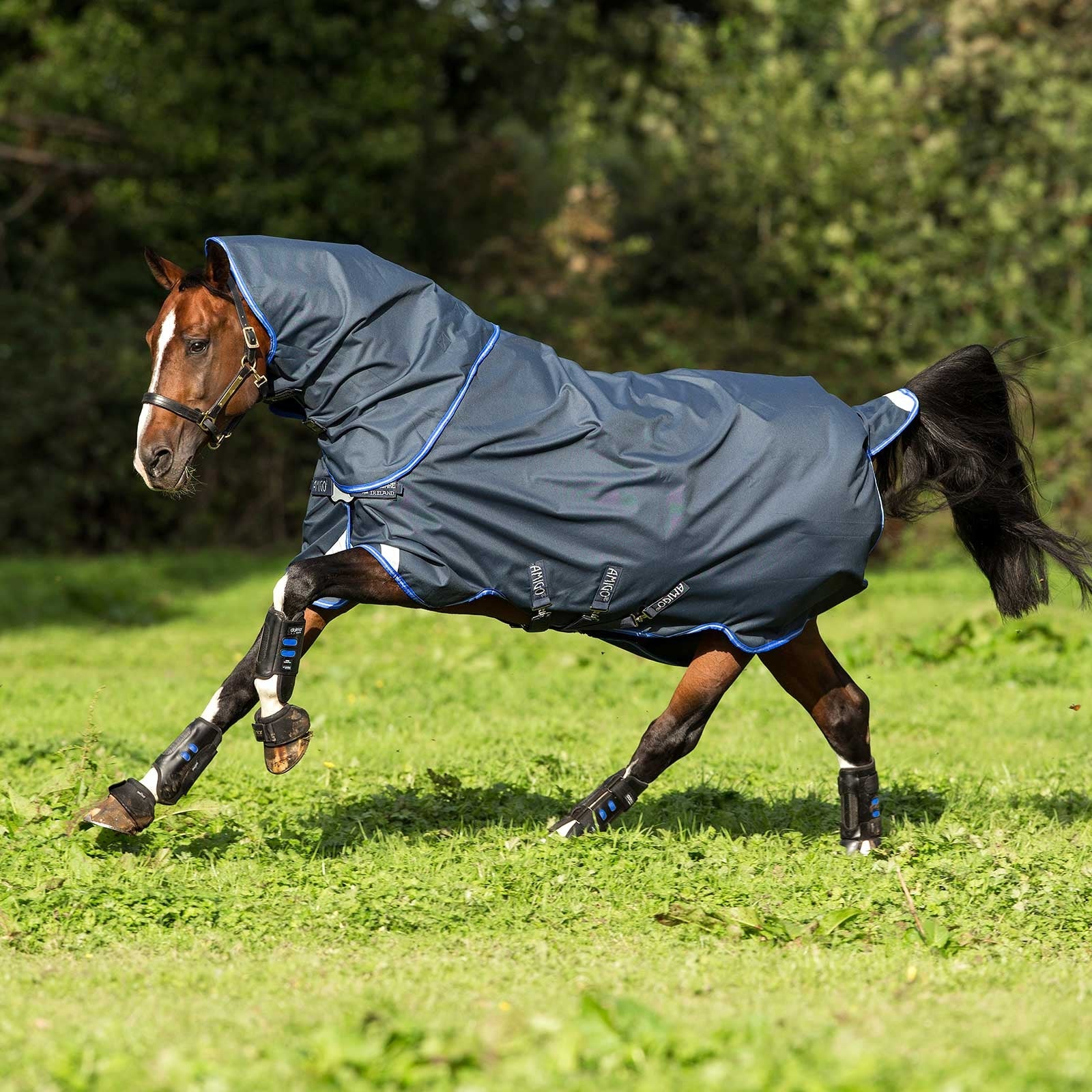 Horseware Couverture d'extérieur Amigo Bravo 12 Plus, disque 0g Couvertures cheval