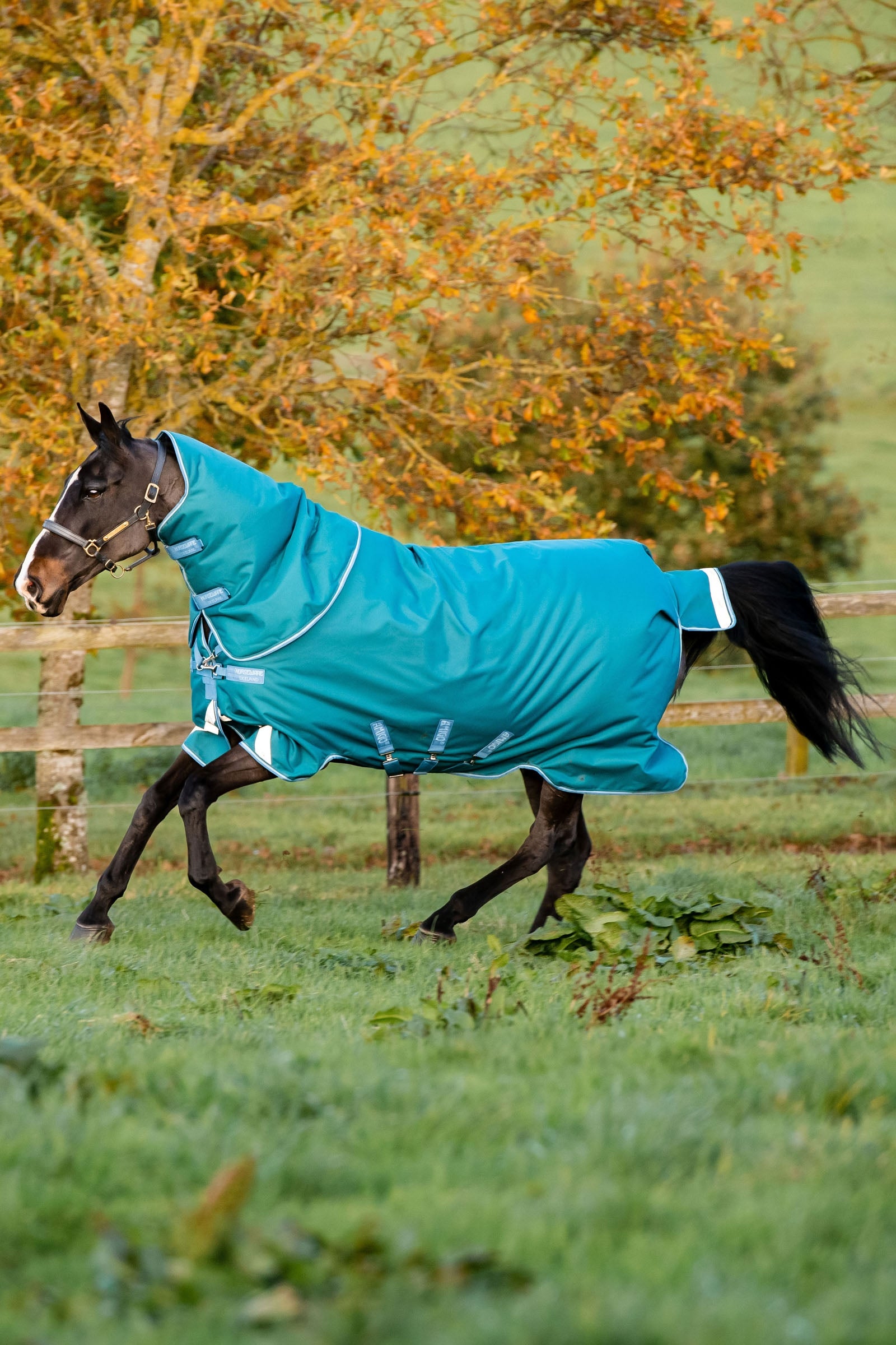 Horseware Amigo Bravo 12 Plus couverture d'extérieur avec cou amovible, 400g Couvertures cheval