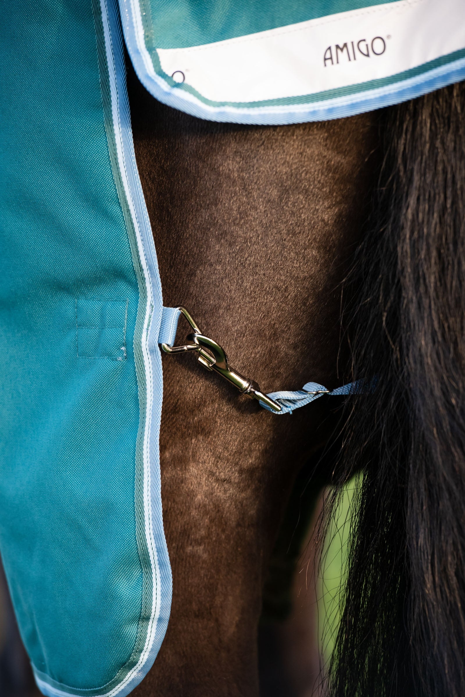 Horseware Amigo Bravo 12 Plus Turnout Rug With Detachable Neck, 400g Horse Rugs