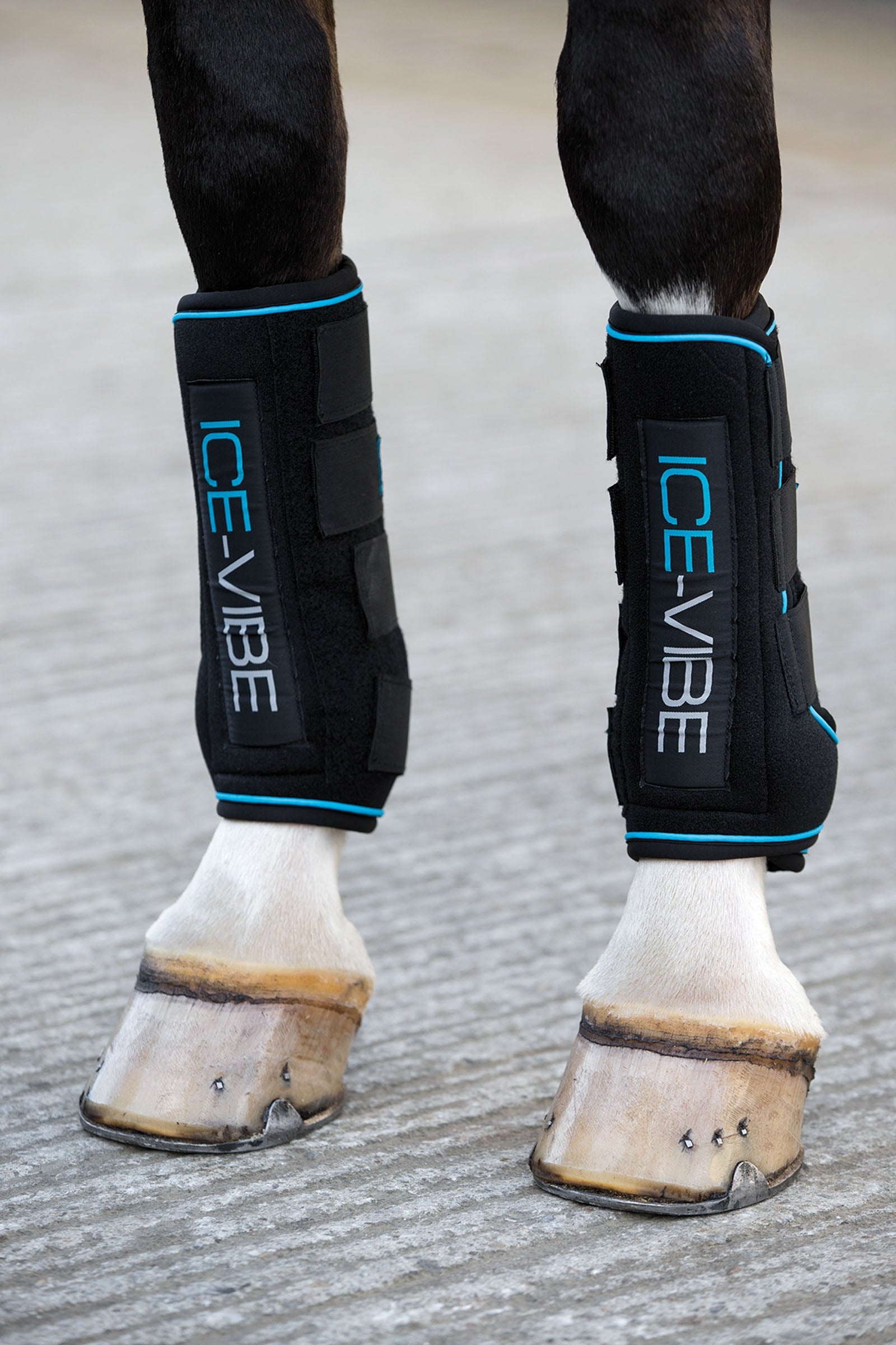 Guêtres Ice-Vibe Black/Aqua Blue Grand cheval