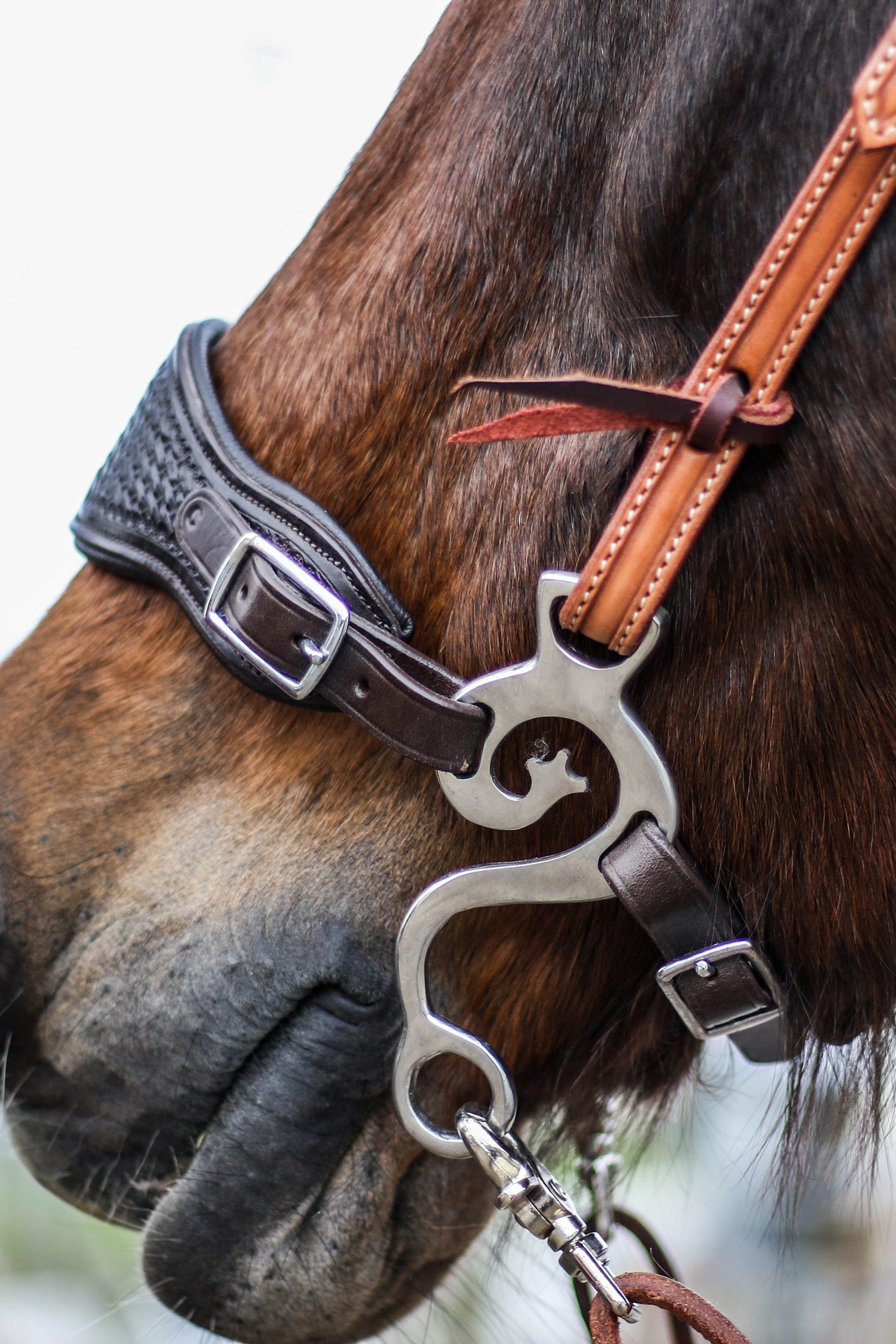 F.R.A. Freedom Riding Articles Music Set Hackamore Stainless St., 140mm Horse Bits