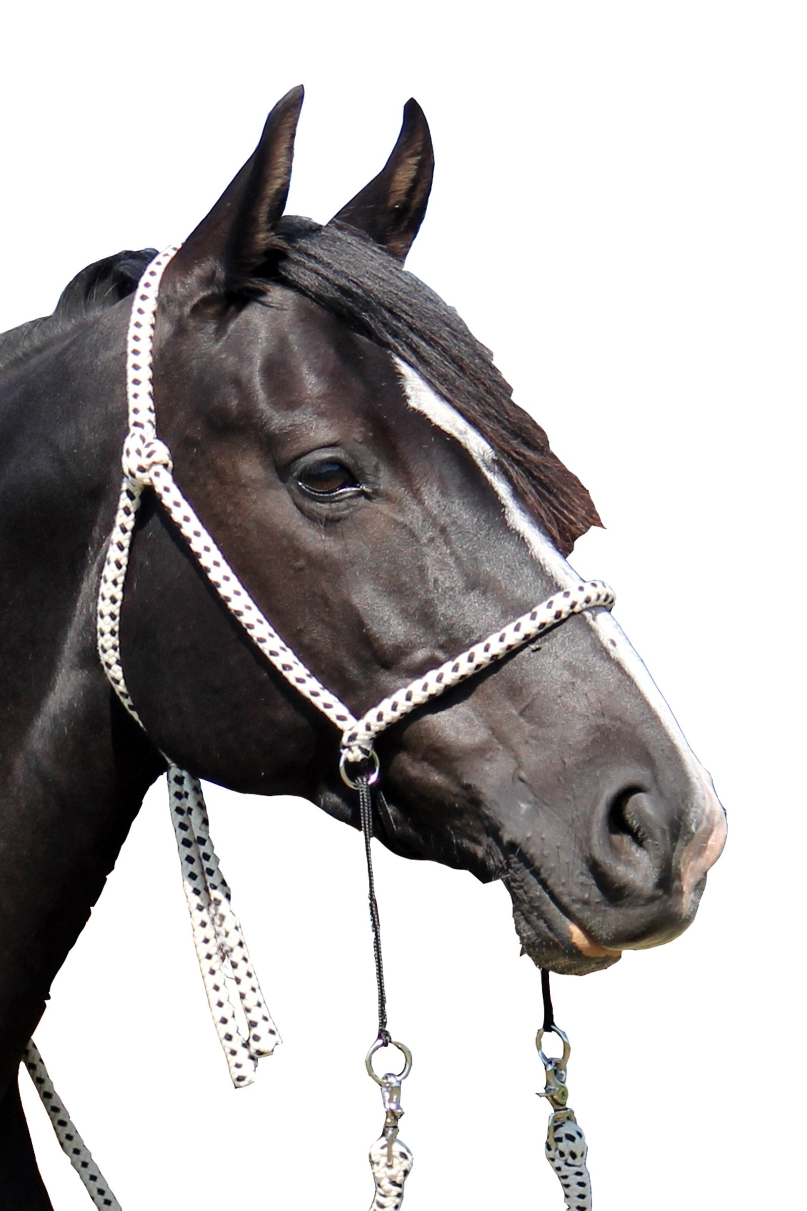 F.R.A. Freedom Riding Articles Nanouk Bitless Bridle (System 4) Cotton w/ Clip Reins Briderie et enrênements