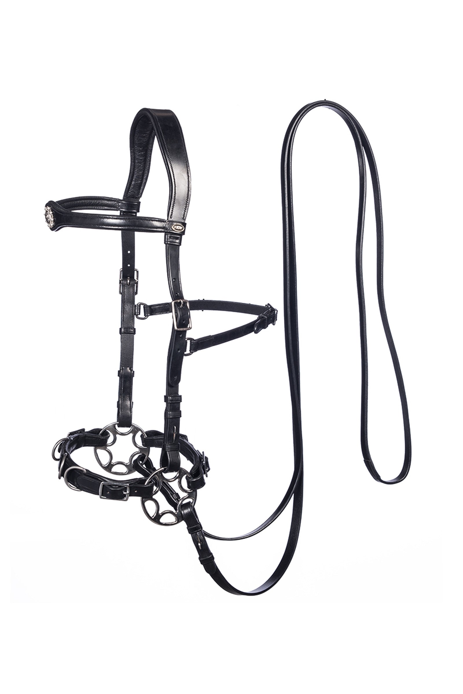 F.R.A. Freedom Riding Articles Caval Compl. Cavemore Bridle English Leather (Syst.2) Shire Briderie et enrênements