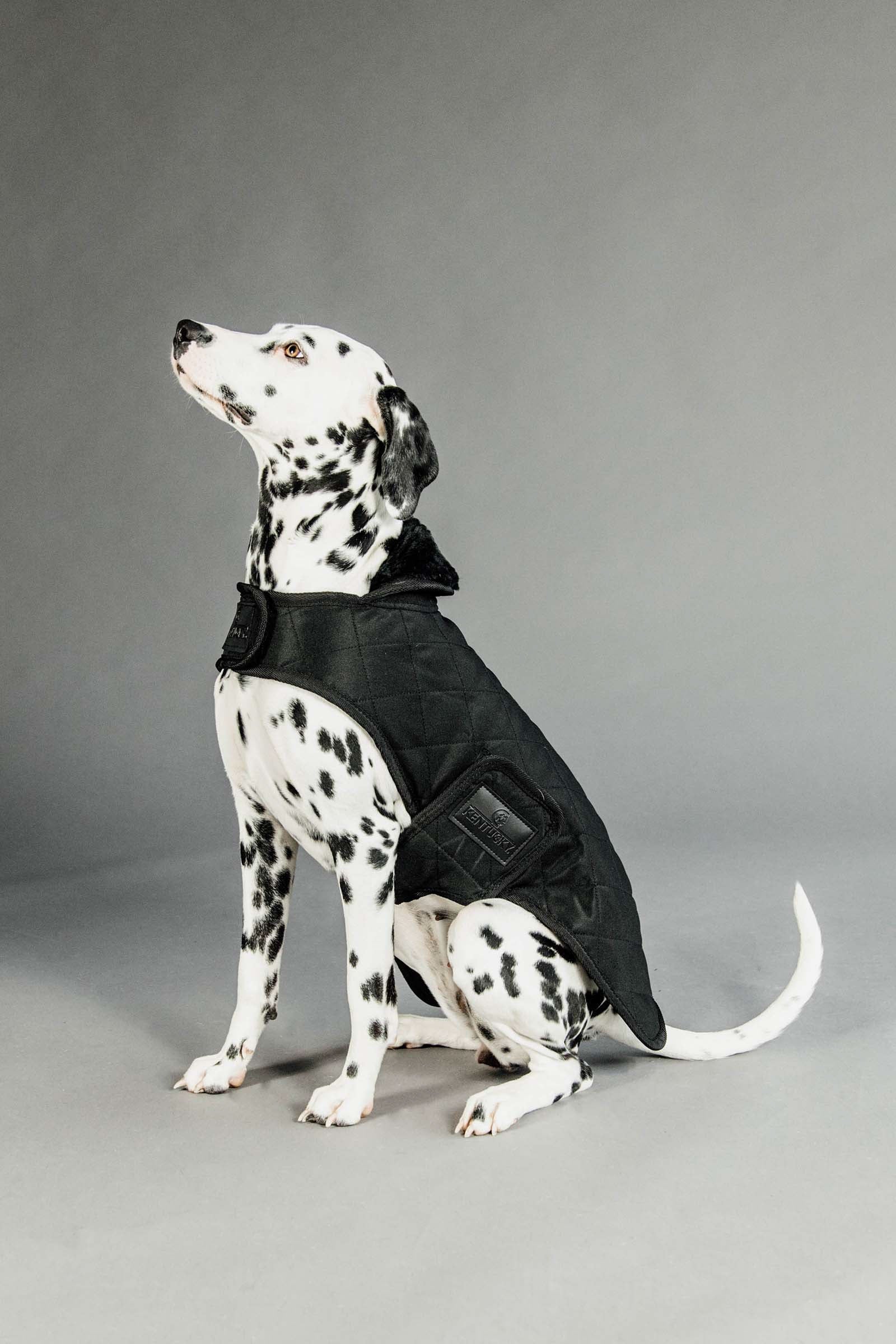 Kentucky Dogwear Manteau pour chien Kentucky Dogwear Chiens