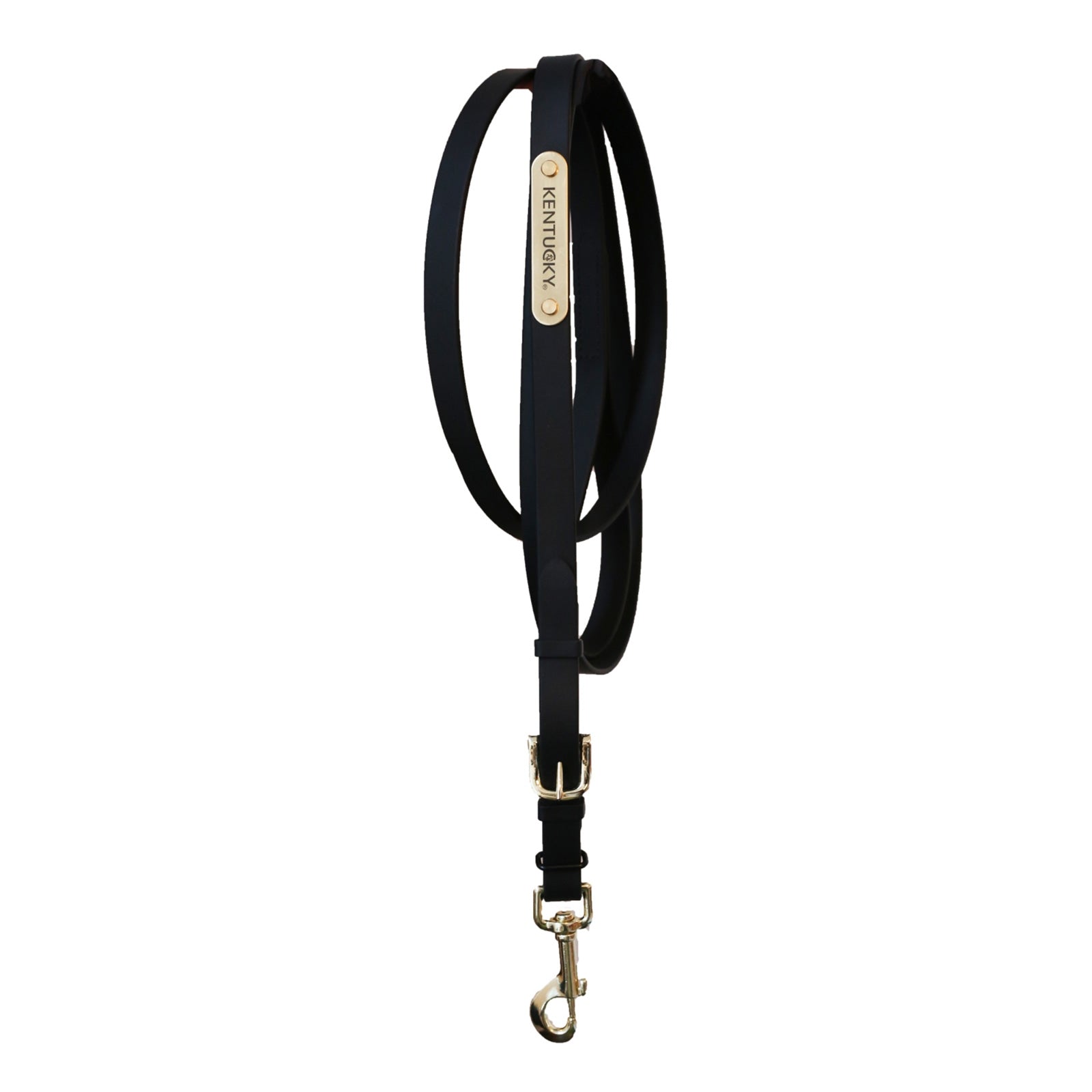 Kentucky Horsewear Longe de présentation Licols & longes