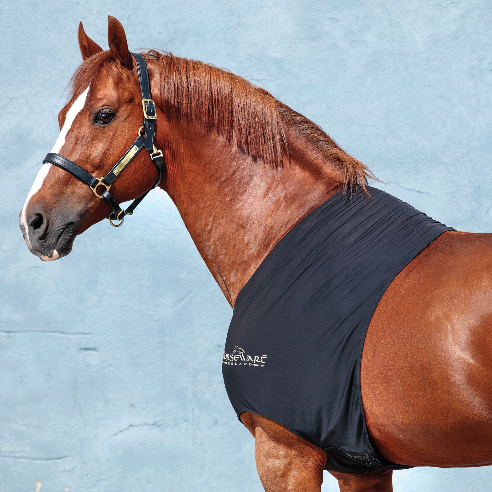 Horseware Couverture avant-main Rambo moulante Couvertures cheval