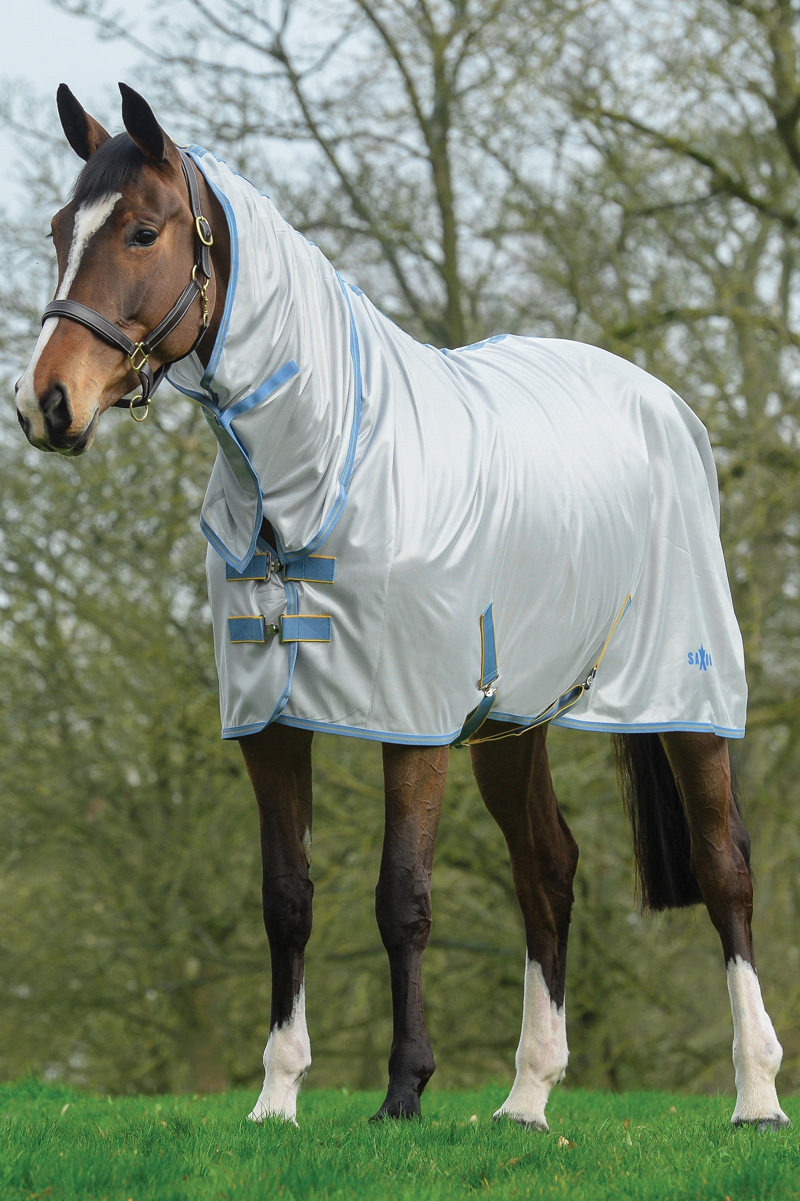 Saxon Couverture Mesh Combo avec couvre-encolure fixe Couvertures cheval