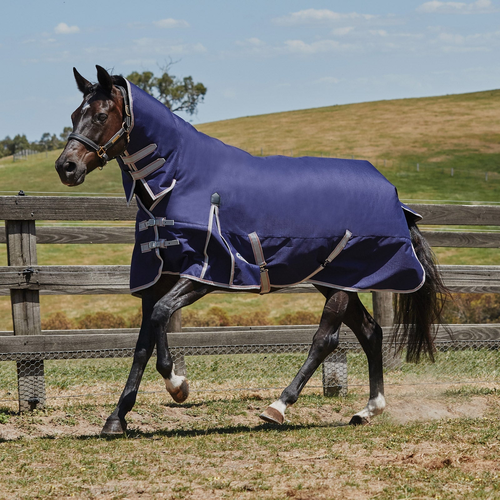 Weatherbeeta Couverture d'extérieur Comfitec Essentiel, avec couvre-encolure Lite Plus Couvertures cheval
