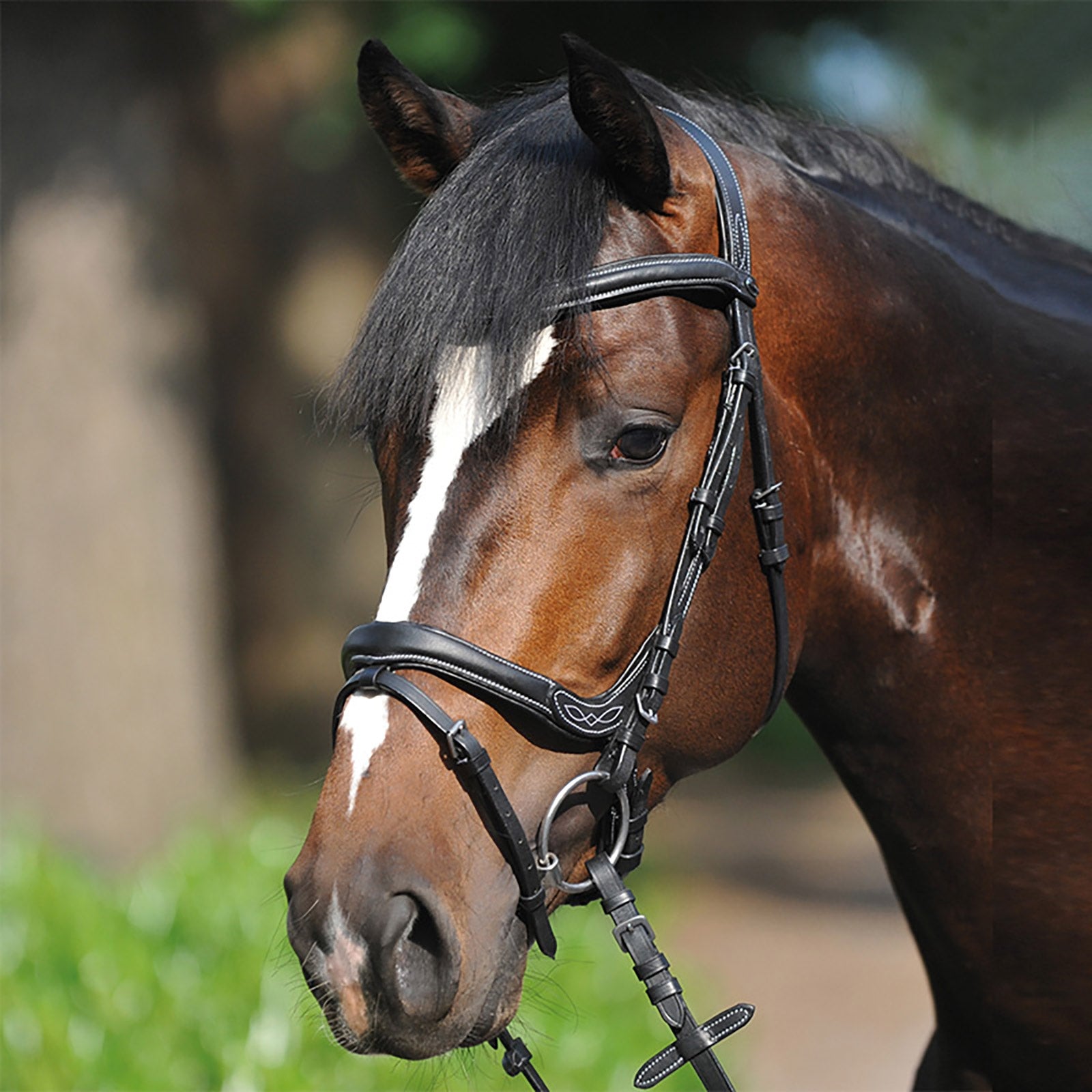 Kavalkade Bridle Ivy, noseband w/ flash Bridles & Reins