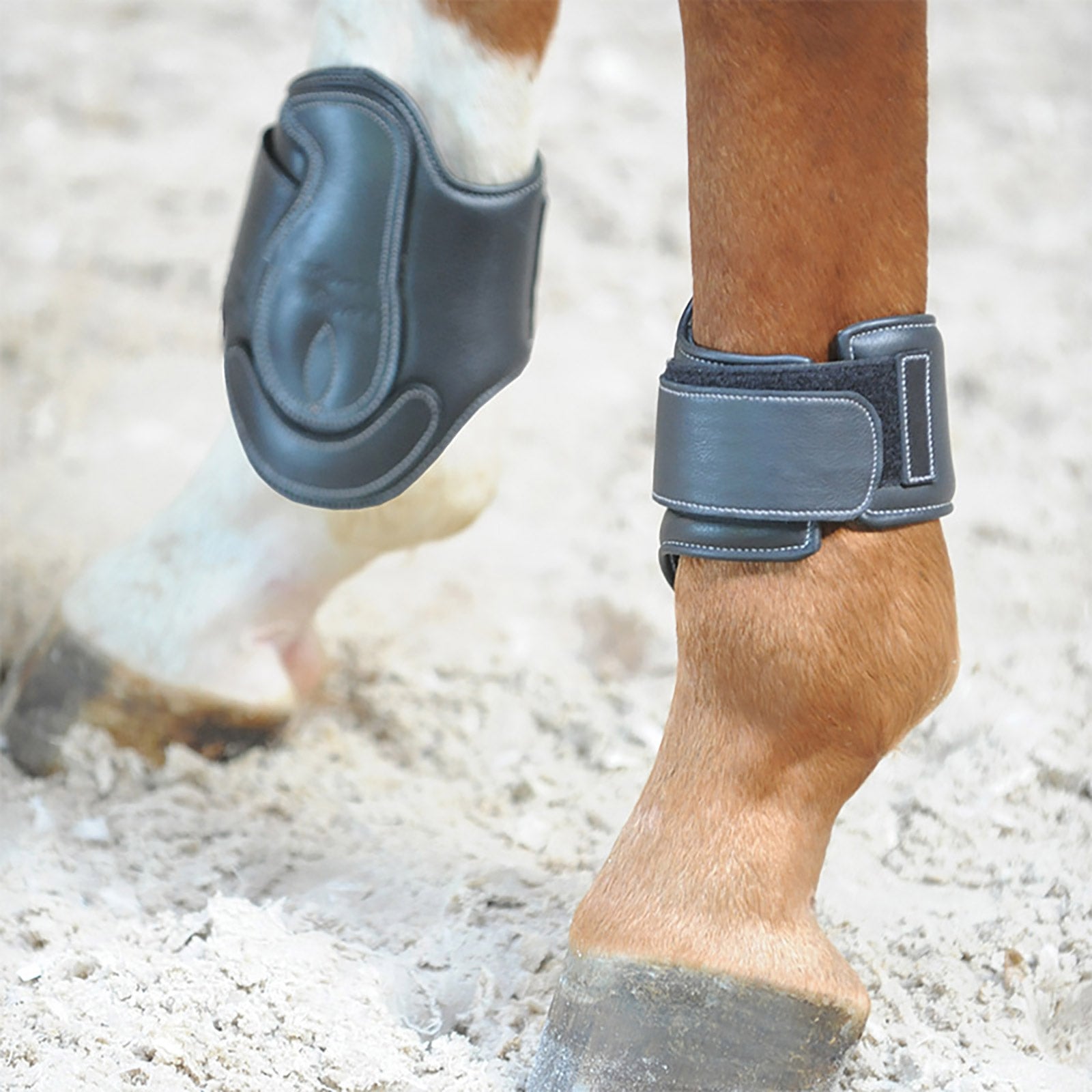 Kavalkade Leather boots Soft Dekor Leg Protection & Hoof Protection for Horses