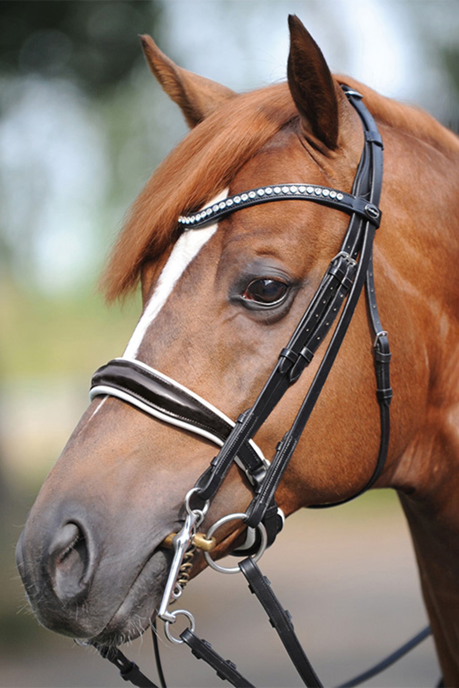 Rênes pour cheval en cuir/caoutchouc HorseGuard Classic - Rênes - Cuirs Rênes pour cheval en cuir/caoutchouc HorseGuard Classic - Rênes - Cuirs