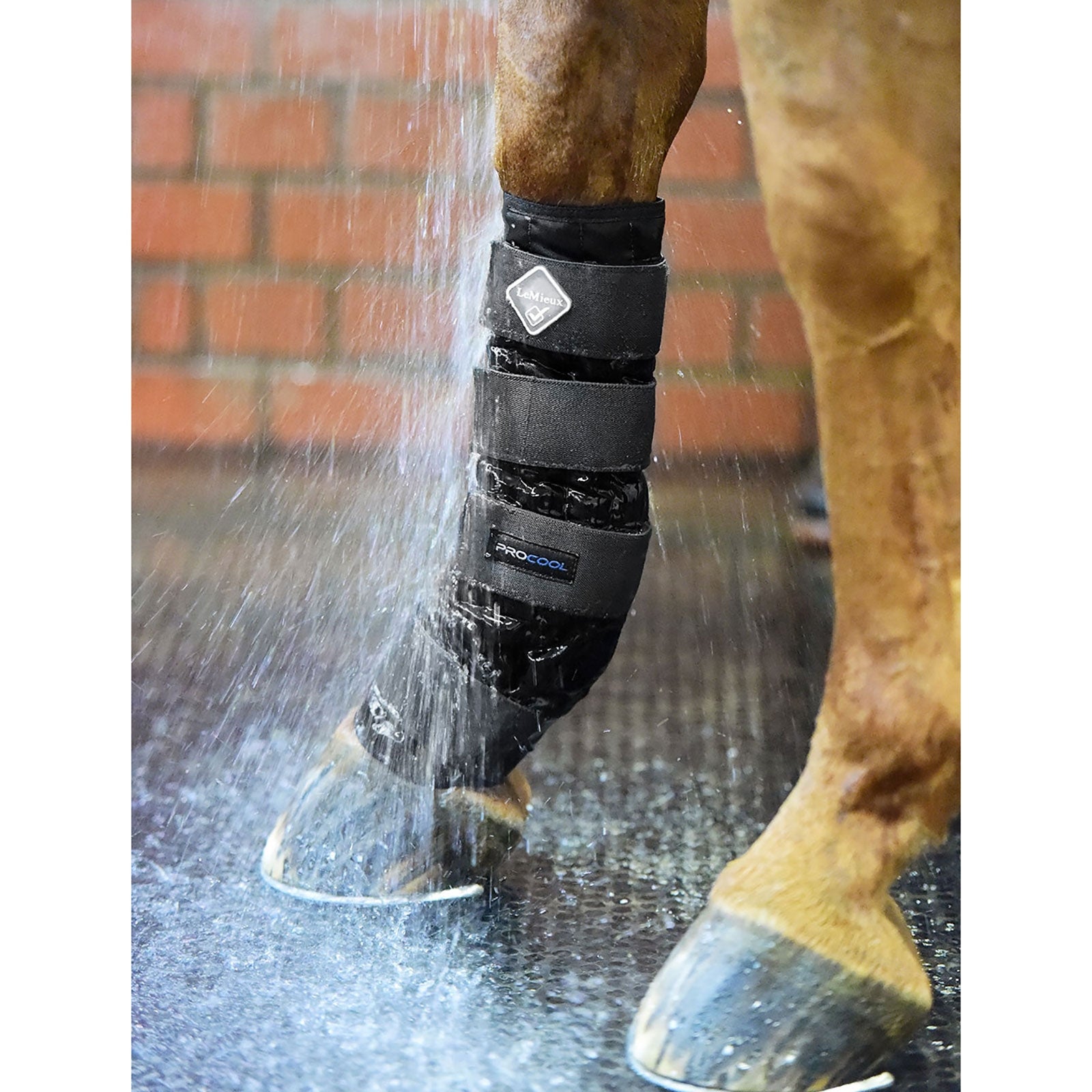 LeMieux Guêtres thérapeutiques Eau Froide Leg Protection & Hoof Protection for Horses