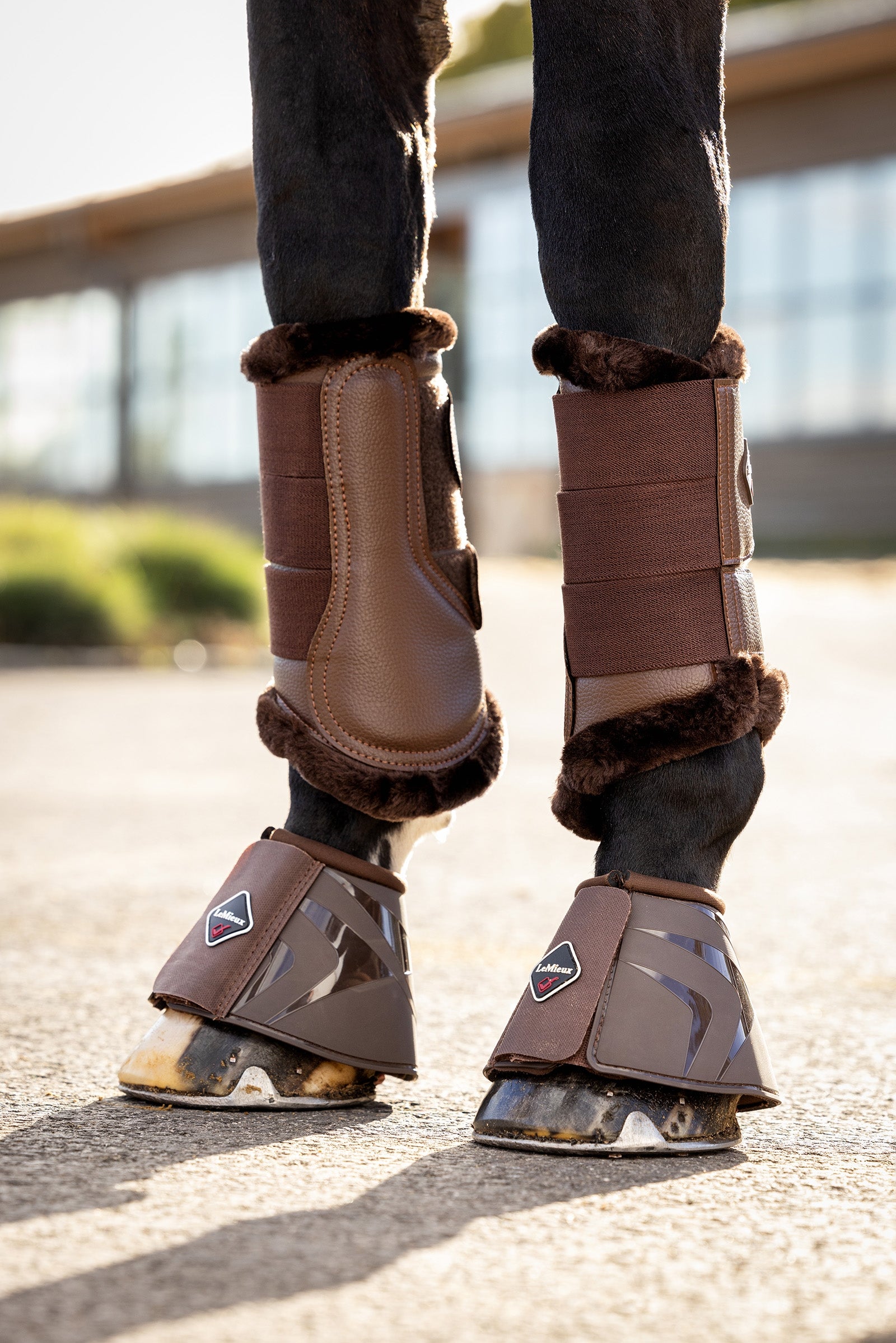 LeMieux Cloches montantes ProShell Leg Protection & Hoof Protection for Horses