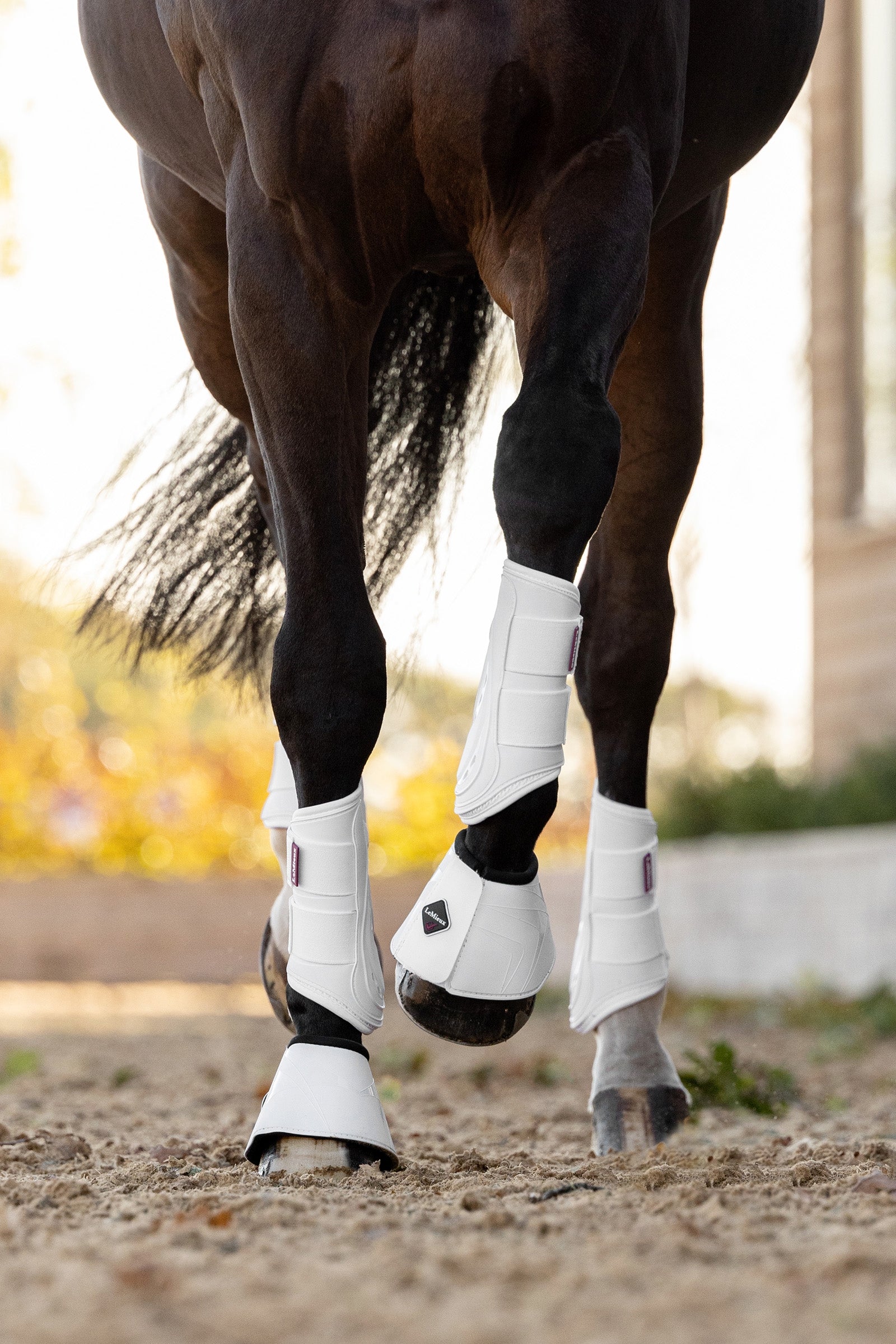 LeMieux Cloches montantes ProShell Leg Protection & Hoof Protection for Horses