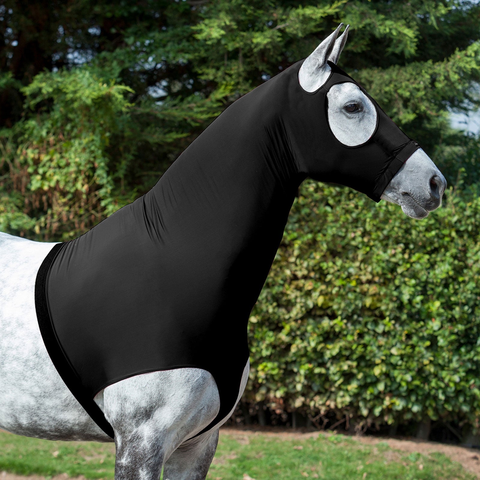 LeMieux Camail en lycra LeMieux Couvertures cheval