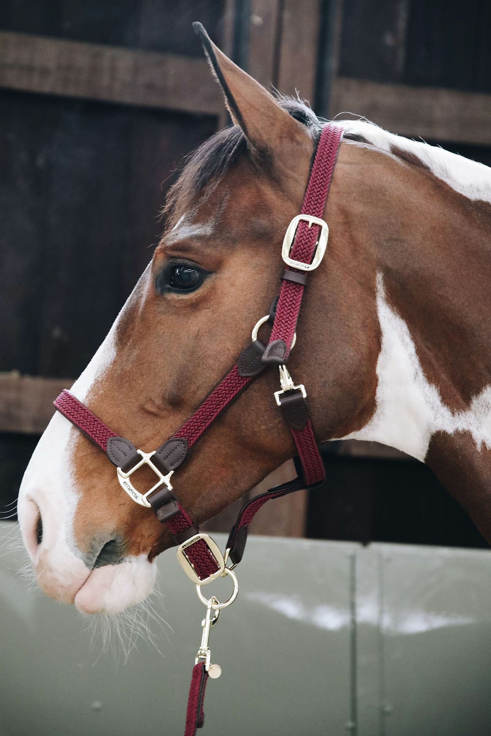 Kentucky Horsewear Licol en Cuir Et Nylon Tresse Licols & longes