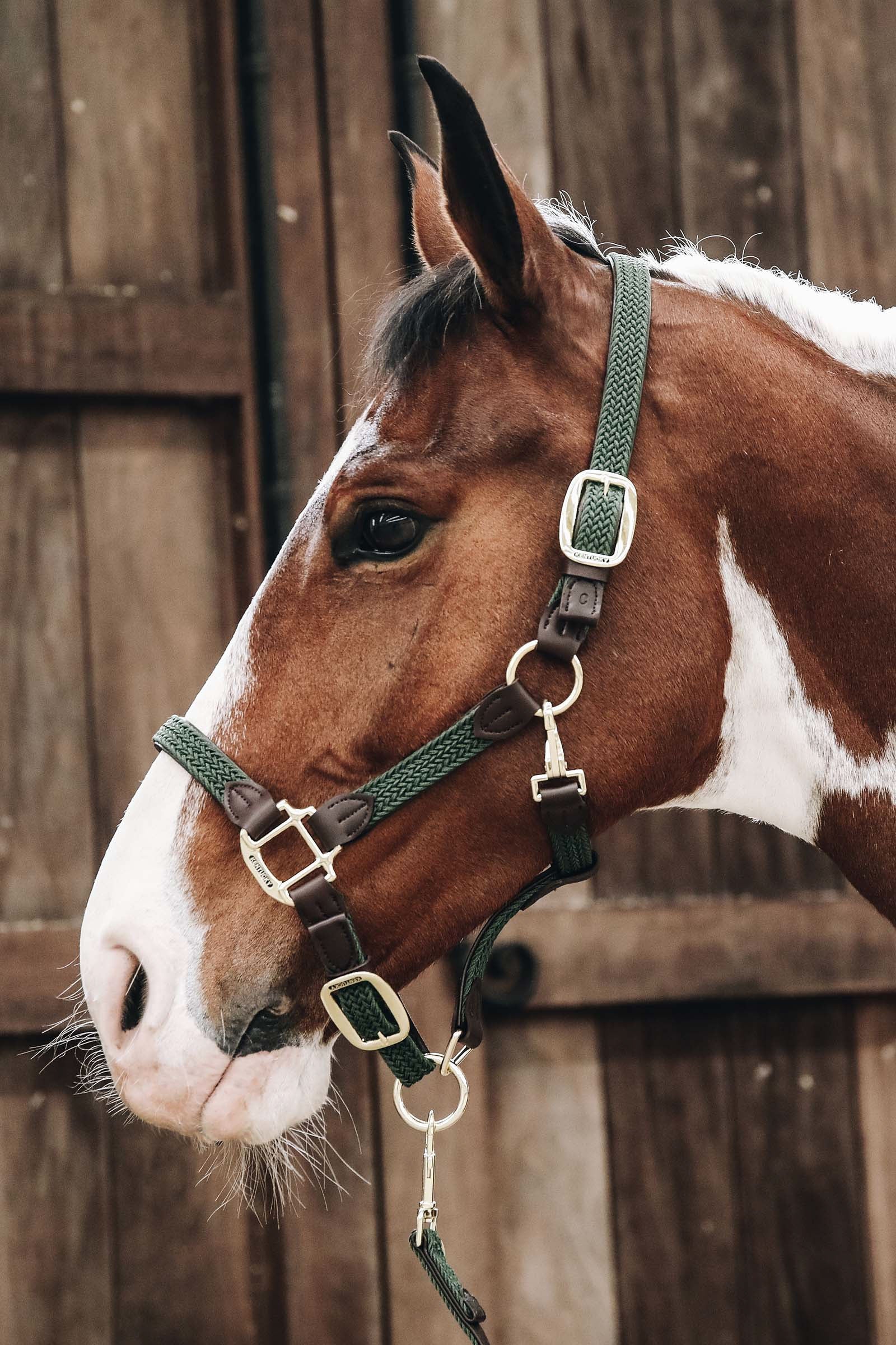 Kentucky Horsewear Licol en Cuir Et Nylon Tresse Licols & longes