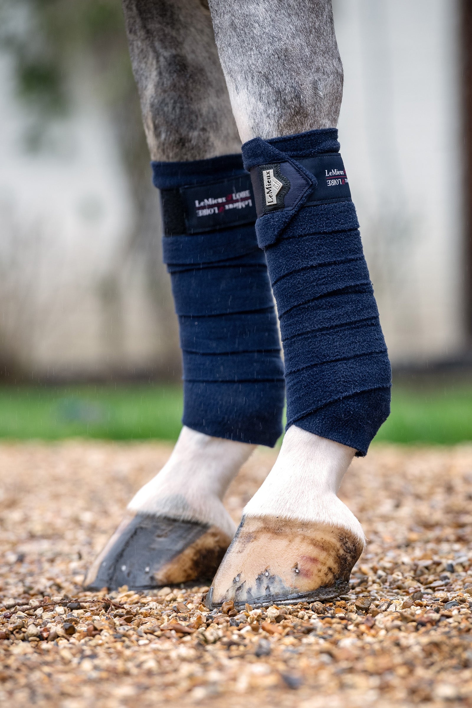 LeMieux Bandes de polo Loire Leg Protection & Hoof Protection for Horses