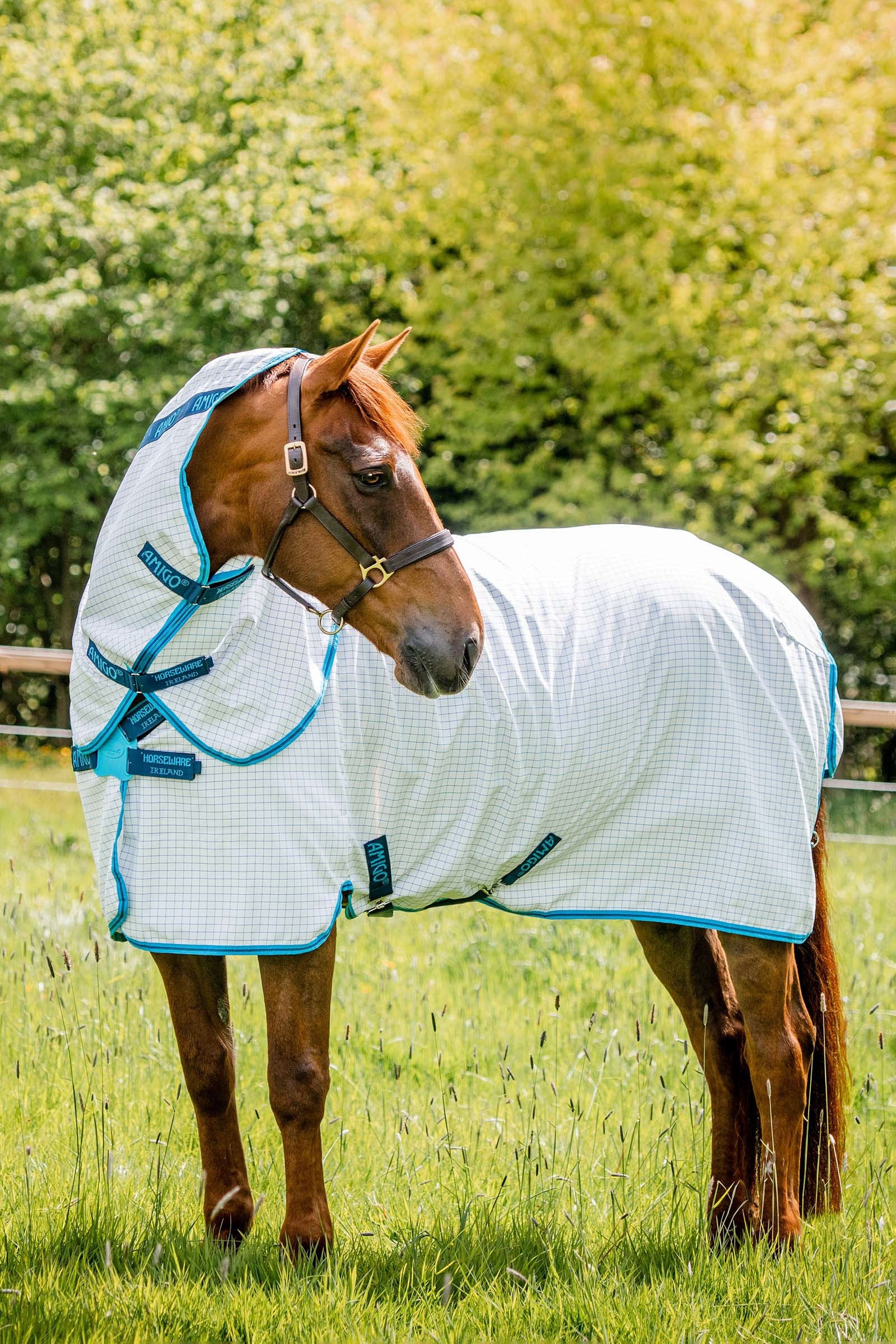 Horseware Amigo Summer Sheet Plus Horse Rugs