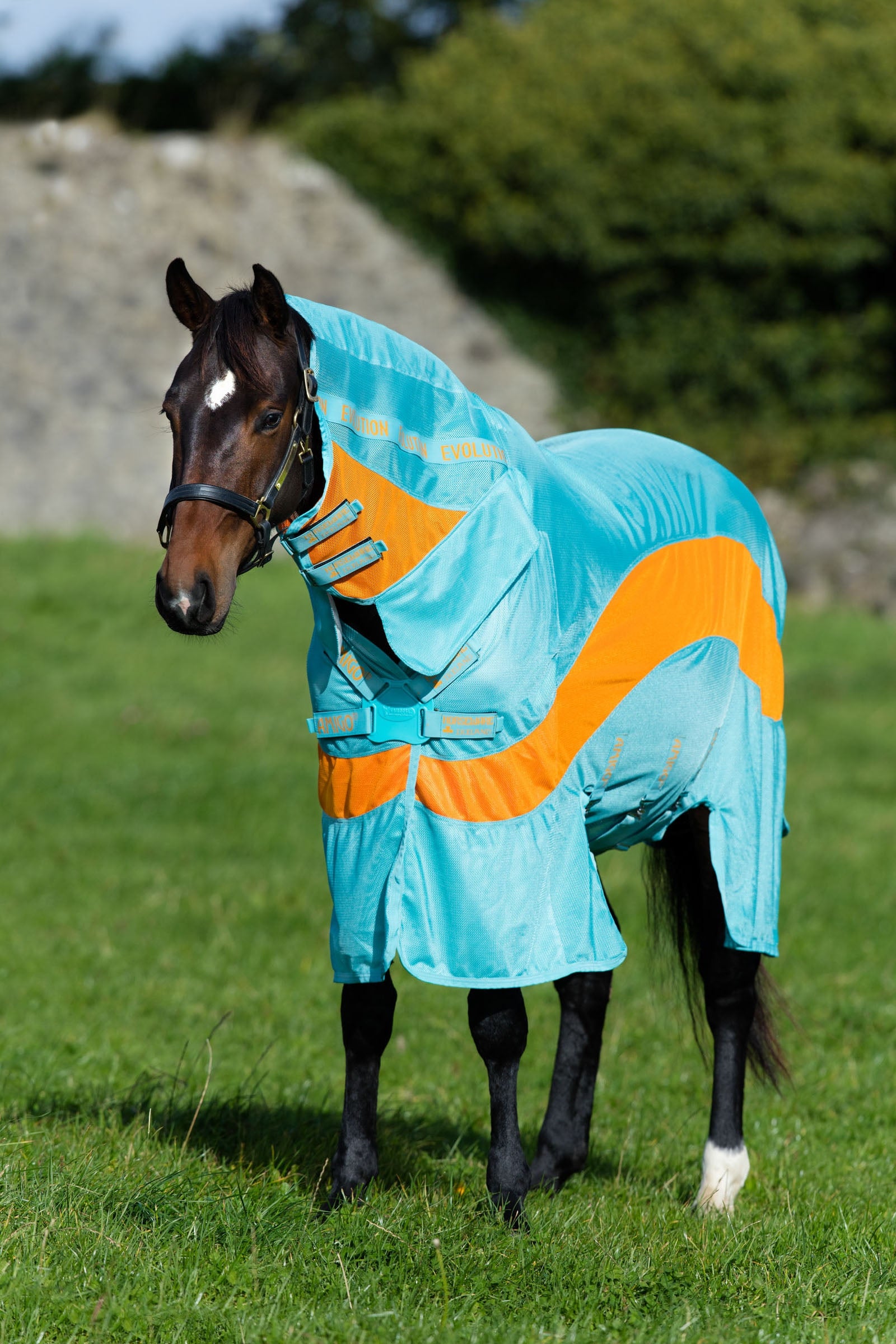Horseware Couverture Amigo Evolutio, Horseware Couvertures cheval